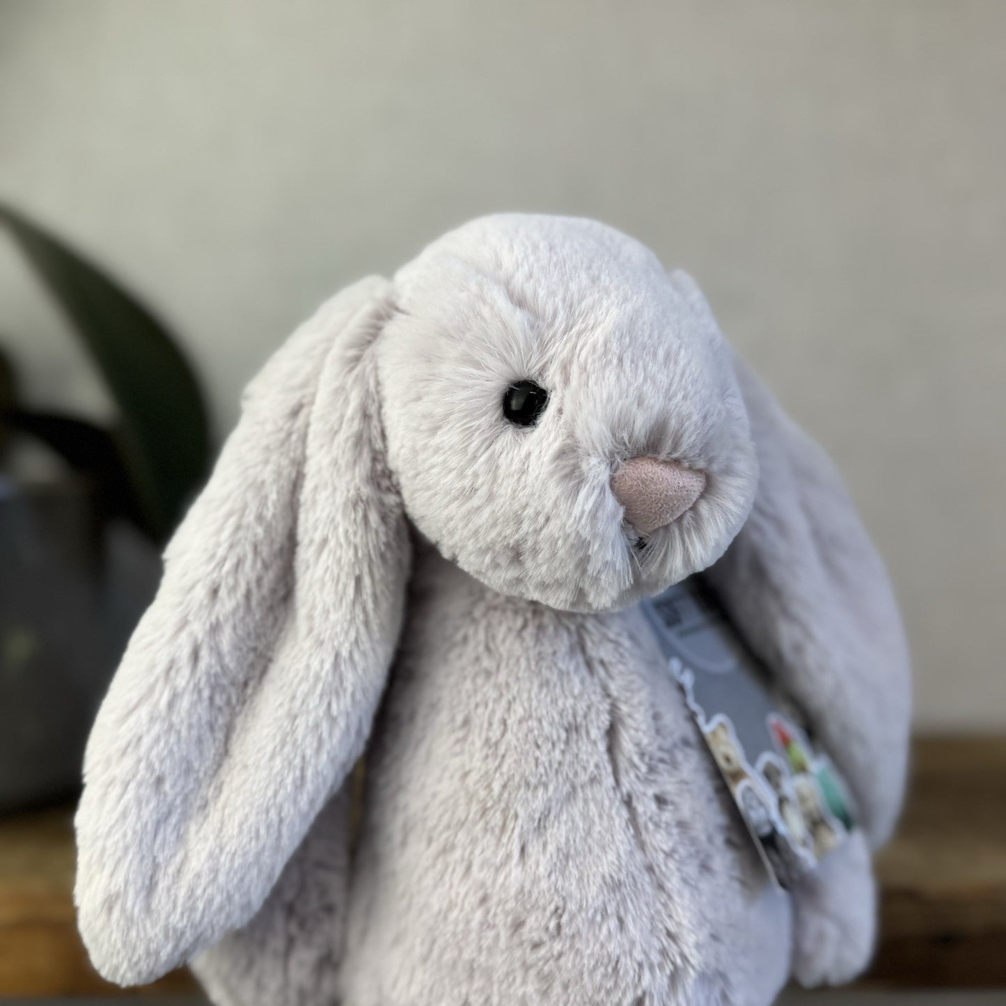 Jellycat Bashful Bunny Lilac - Light Purple Bunny White Tail Rabbit 12” Retired