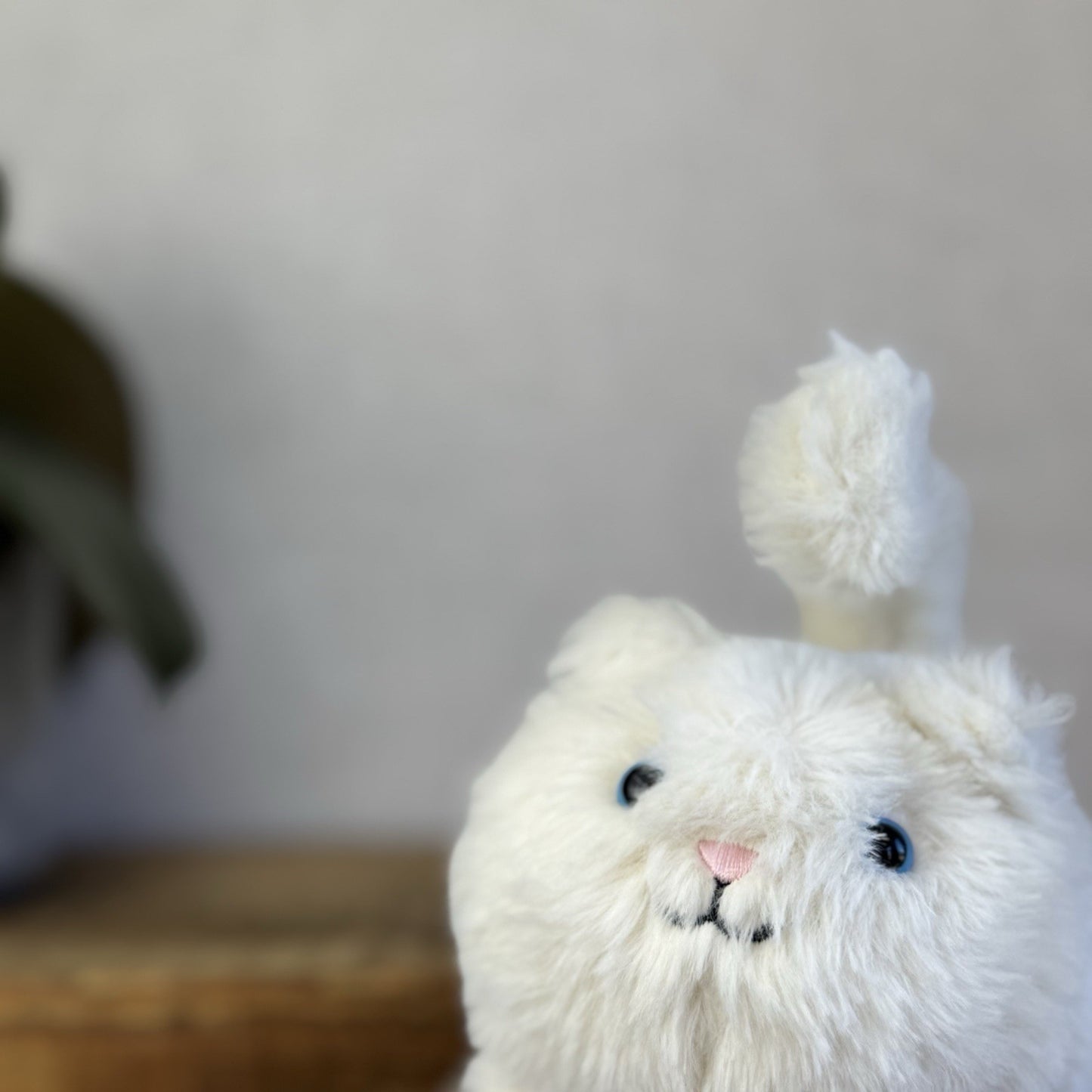 Jellycat Cat Cream Kitten Caboodle Cat Plush Soft Toy - Small Kitten Soft Toy 5”