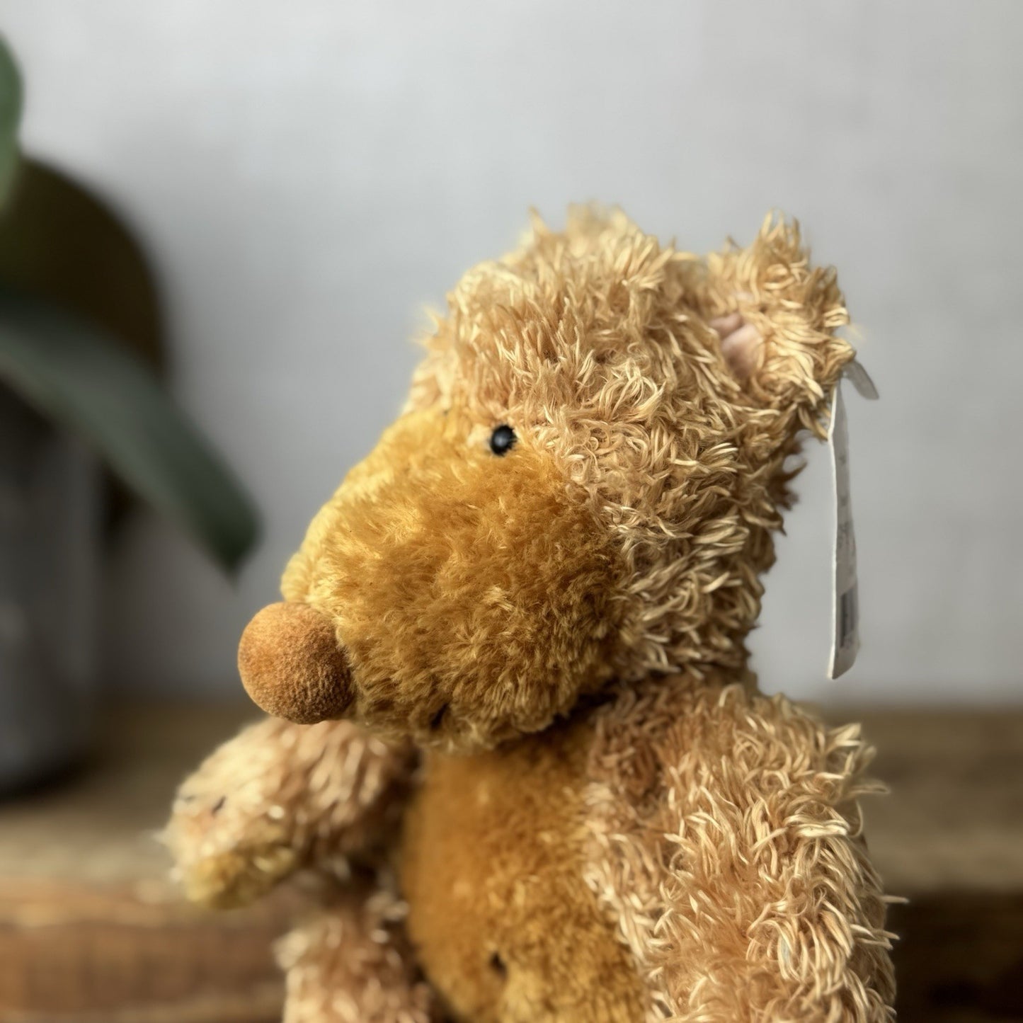 Jellycat Small Paw Paw Bear Golden Bear Beanie Vintage Soft Plush Toy Retired 9"