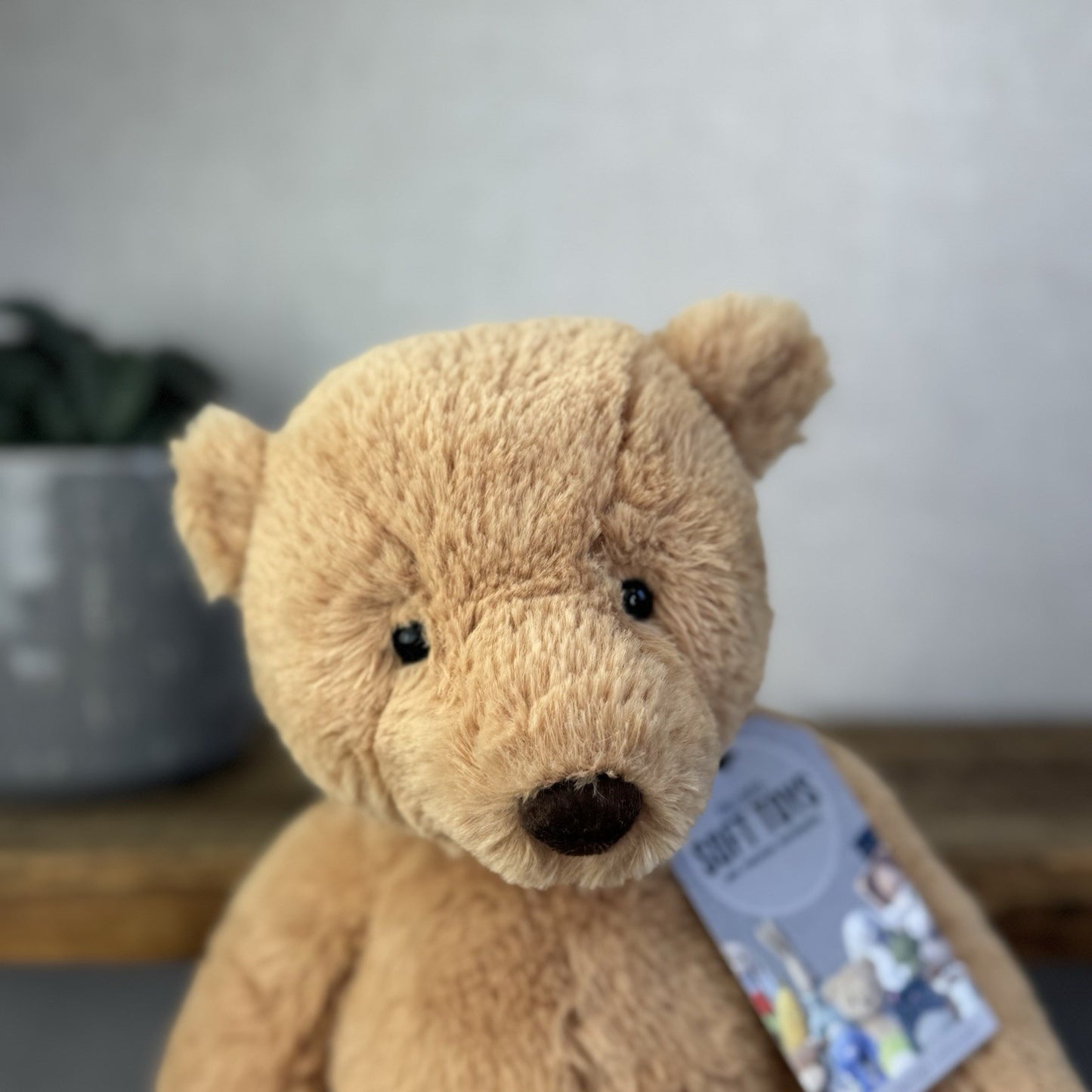 Jellycat Medium Butterscotch Bear - Retired Brown Beige Bear Soft Toy Beanie 12”