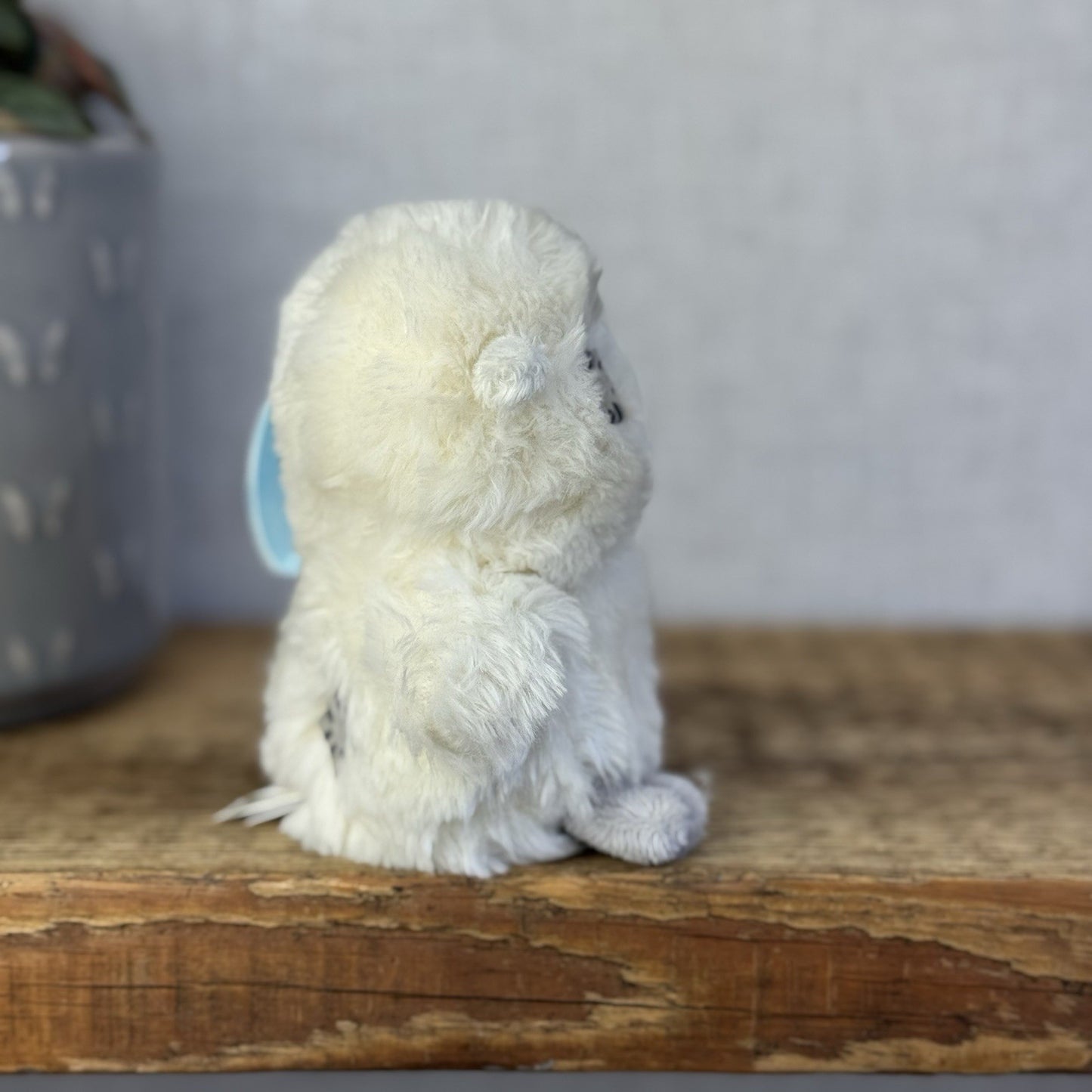 Blue Nose Friends Wise The Owl - Mini Owl Beanie Plush With Tags Retired 5”