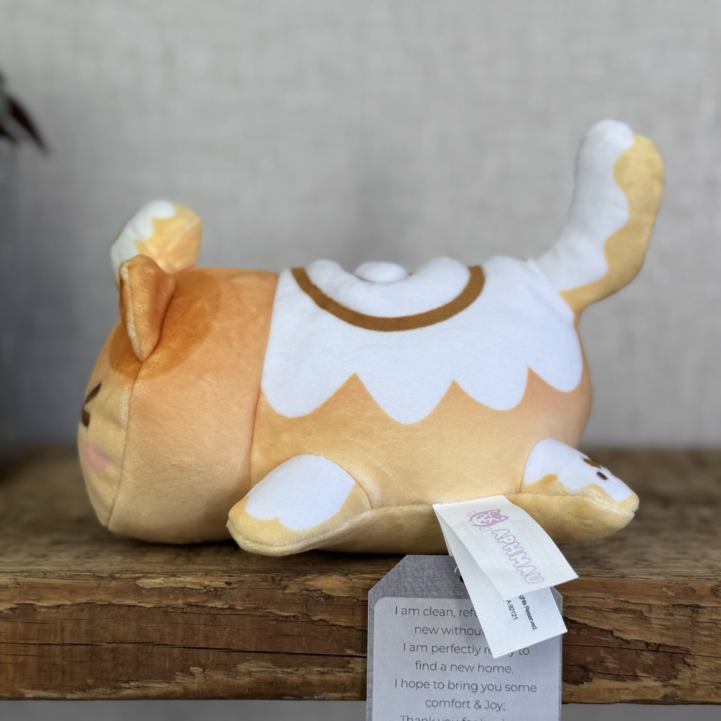 Aphmau MeeMeows - Cinamon Roll Cat Plush Squish Cat Kawai Collectible 5"