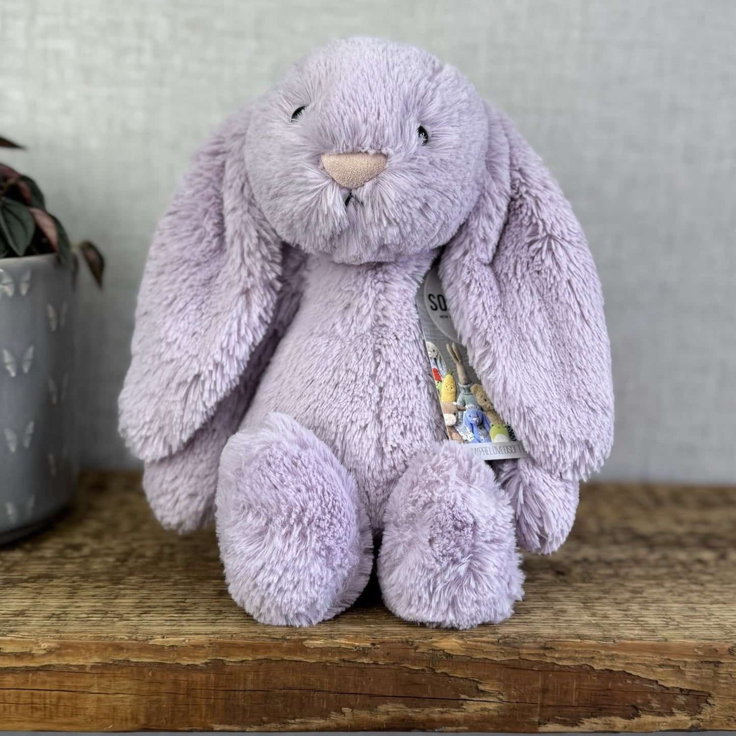 Jellycat Medium Bashful Hyacinth Bunny - Lilac Purple Bunny Rabbit 12”