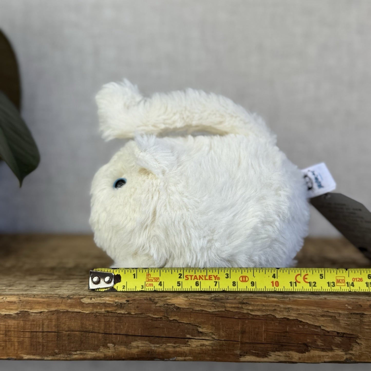 Jellycat Cat Cream Kitten Caboodle Cat Plush Soft Toy - Small Kitten Soft Toy 5”