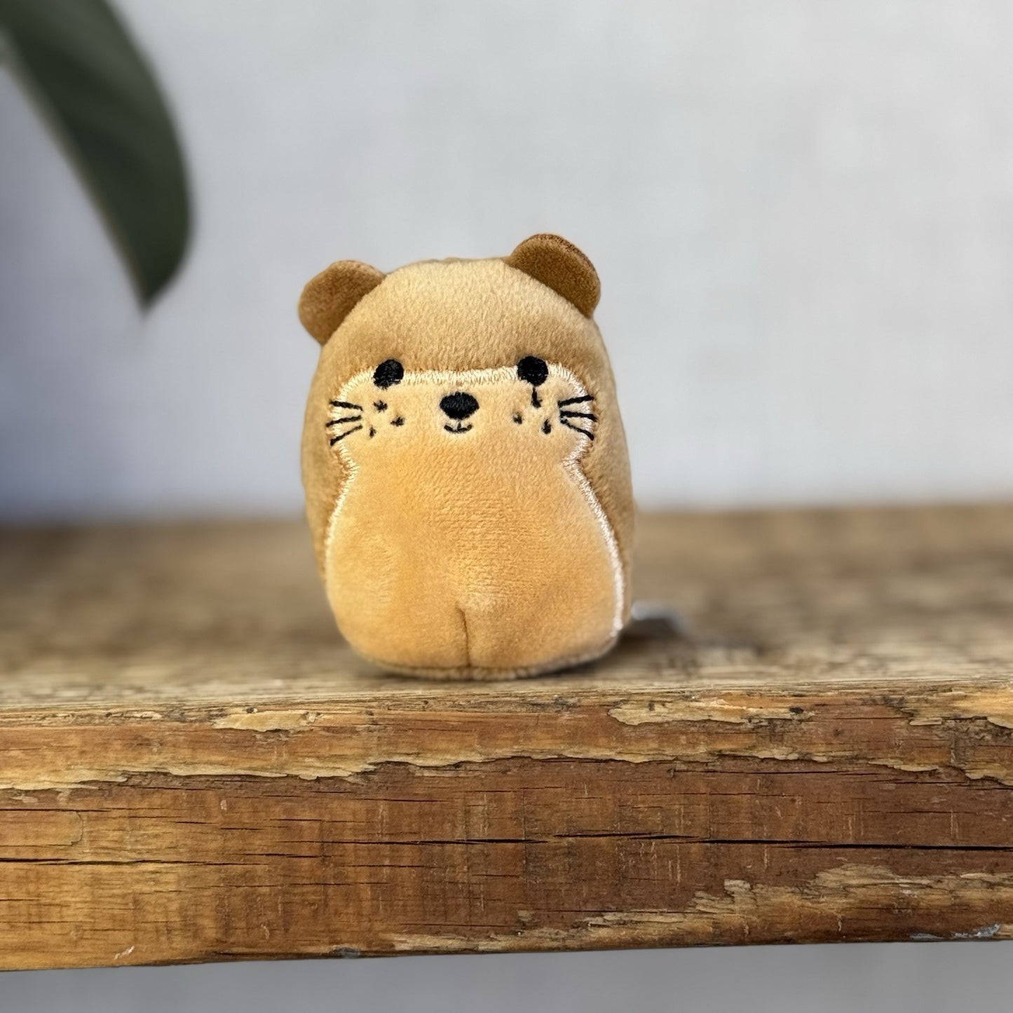 Squishmallow Squishville - Joanne The Otter - Tiny Squishmallows Otter Sea 2"
