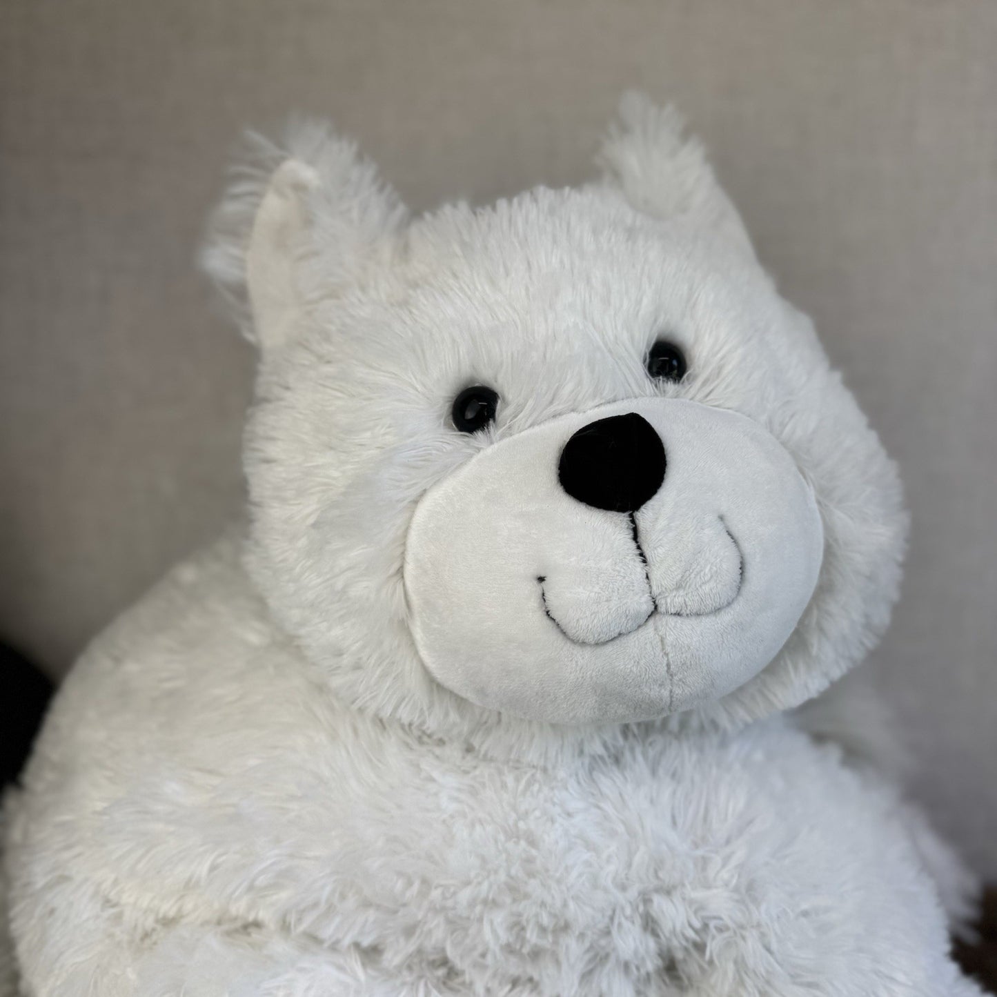 Huge Truffles White Cat - Little White Company/Jellycat Collab Large Cushion Cat