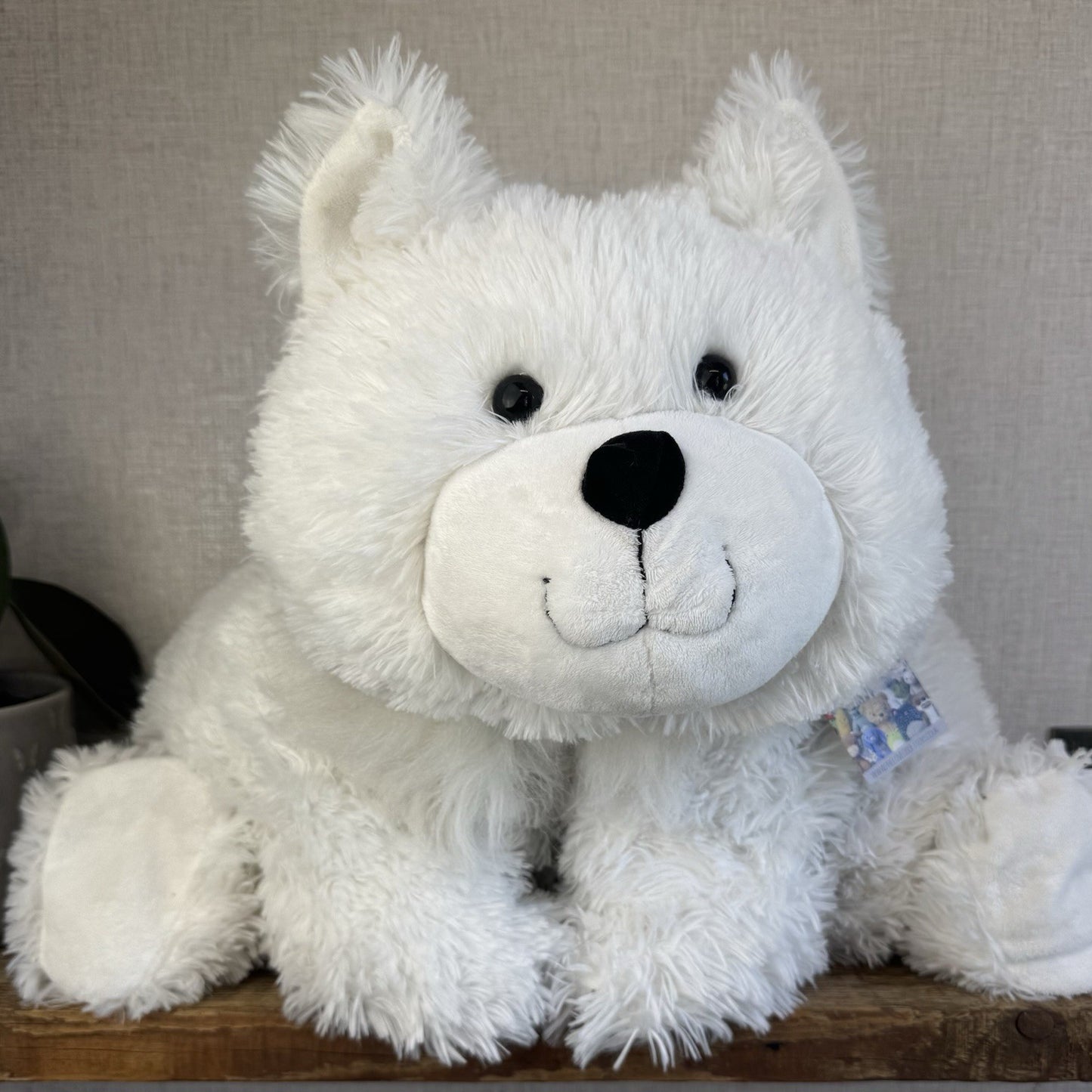 Huge Truffles White Cat - Little White Company/Jellycat Collab Large Cushion Cat