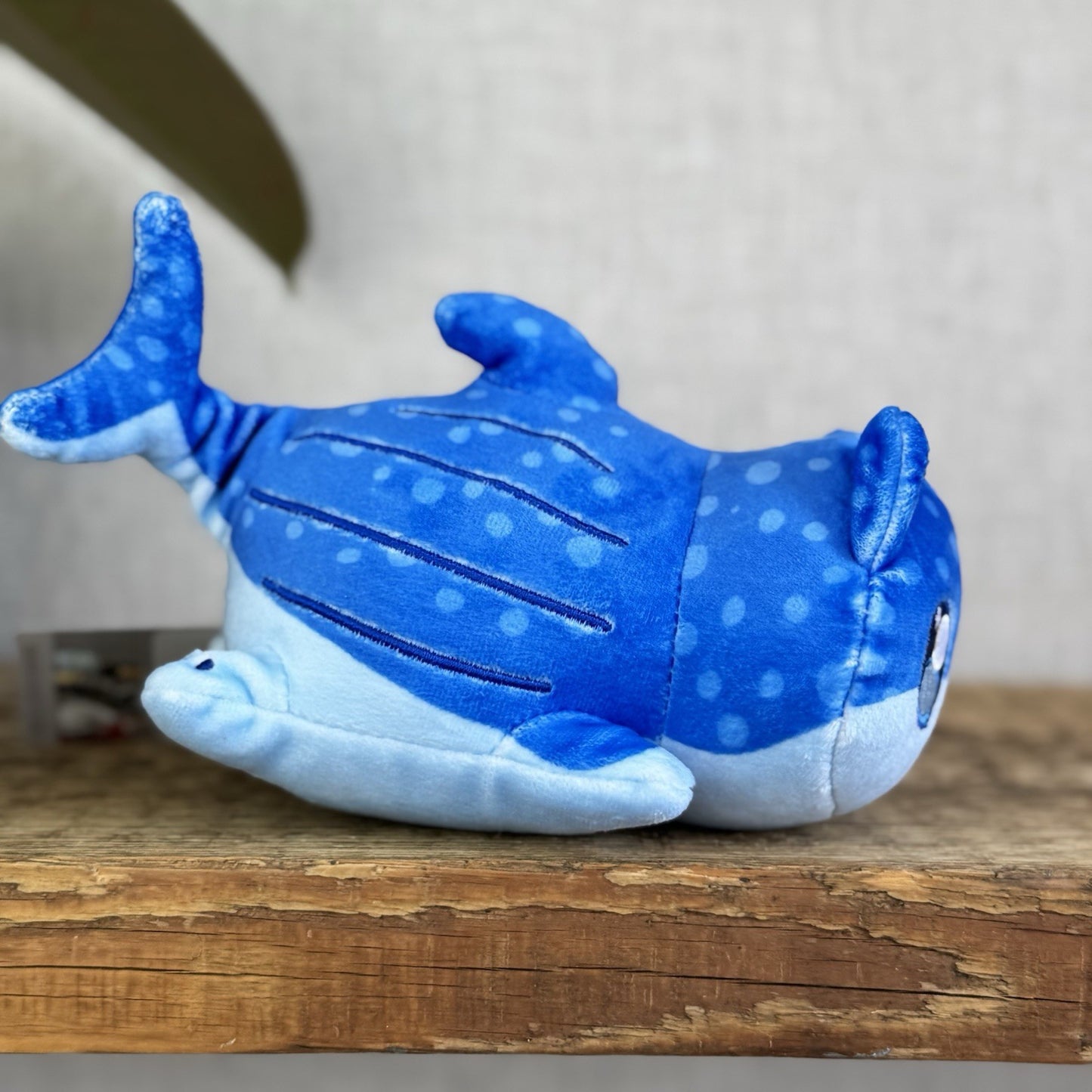 Aphmau MeeMeows - Sealife Litter Plush Whale Cat Blue Kawaii Cute 6"