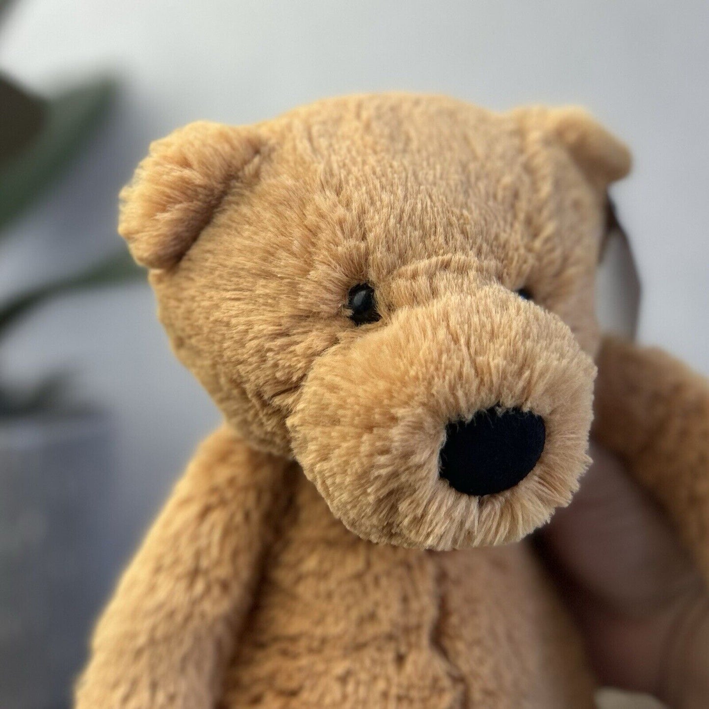 Jellycat Bashful Ginger/orange Bear - Medium Bashful Bear - Retired Bear 12”
