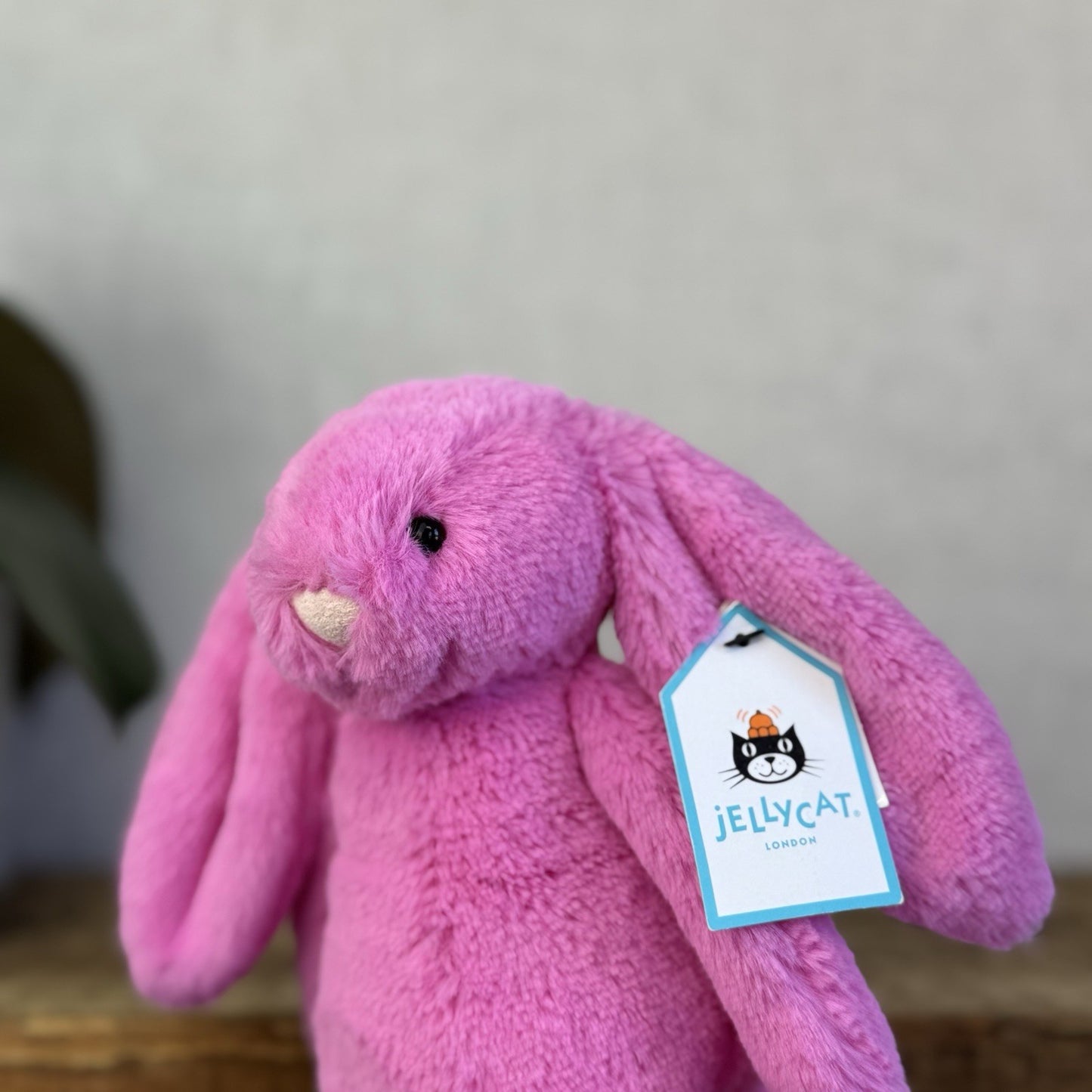 Jellycat Small Bashful Hot Pink Bunny - Bright Pink Rabbit New With Tags Soft 8”