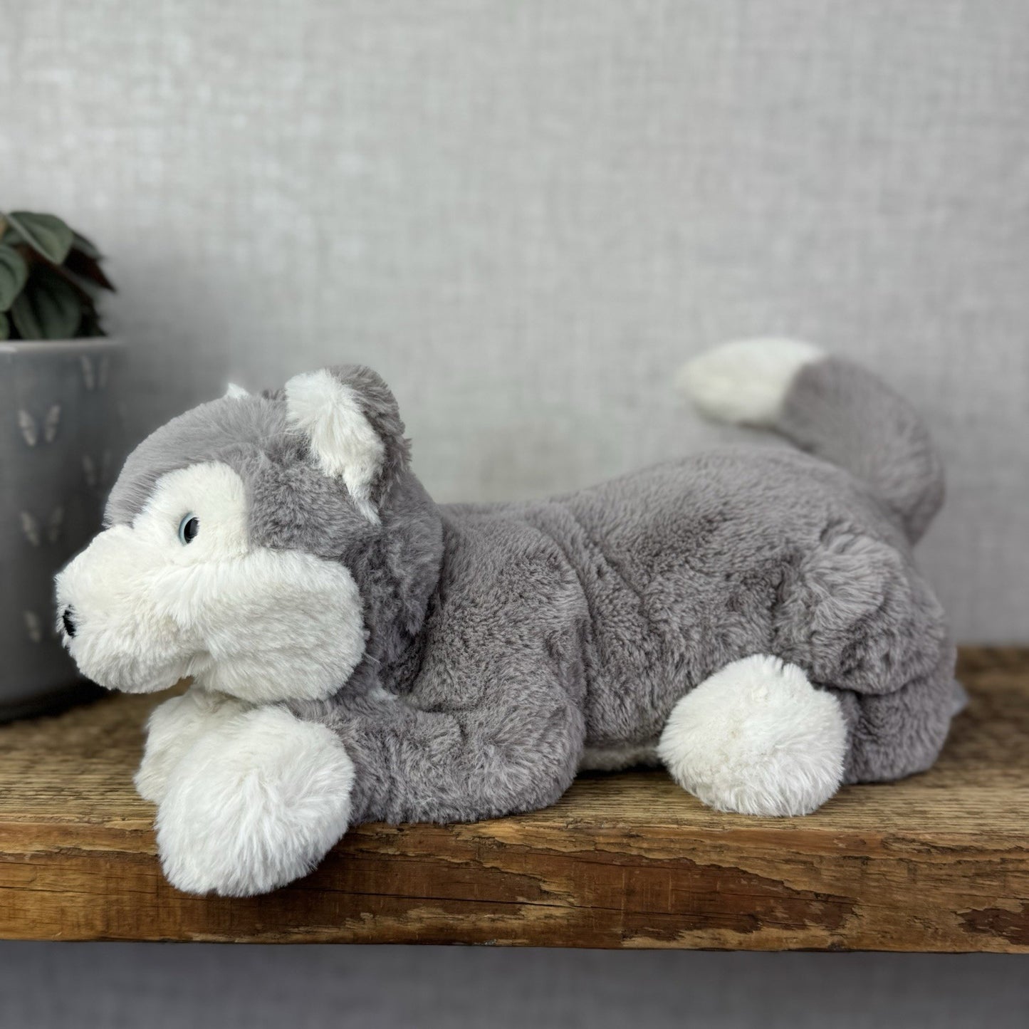Jellycat Little Hudson Husky Soft Grey Husky Plush Dog Soft Toy Retired 11”