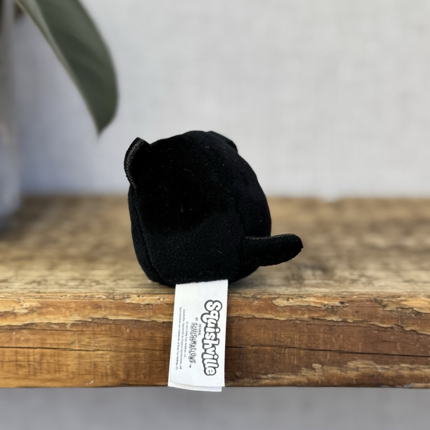 Squishmallow Squishville Black Cat - Halloween Exclusive Black Cat Tiny 2"