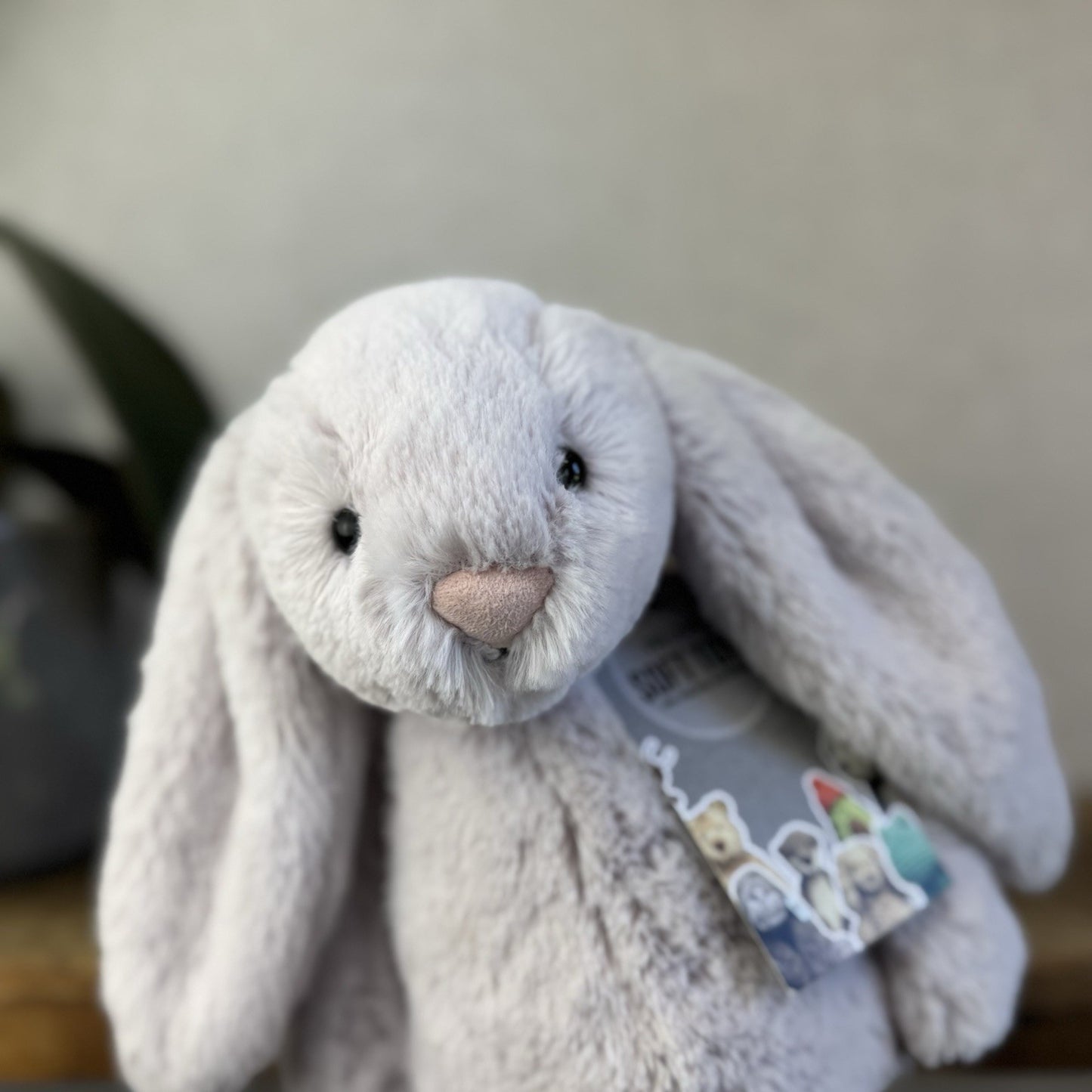 Jellycat Bashful Bunny Lilac - Light Purple Bunny White Tail Rabbit 12” Retired