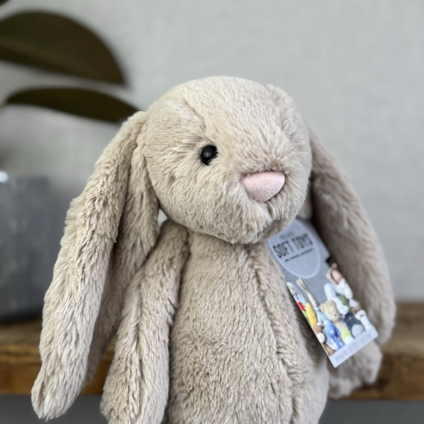 Jellycat Medium Bashful Beige Bunny - Light Brown Bunny Soft Toy Beanie 12” NWOT