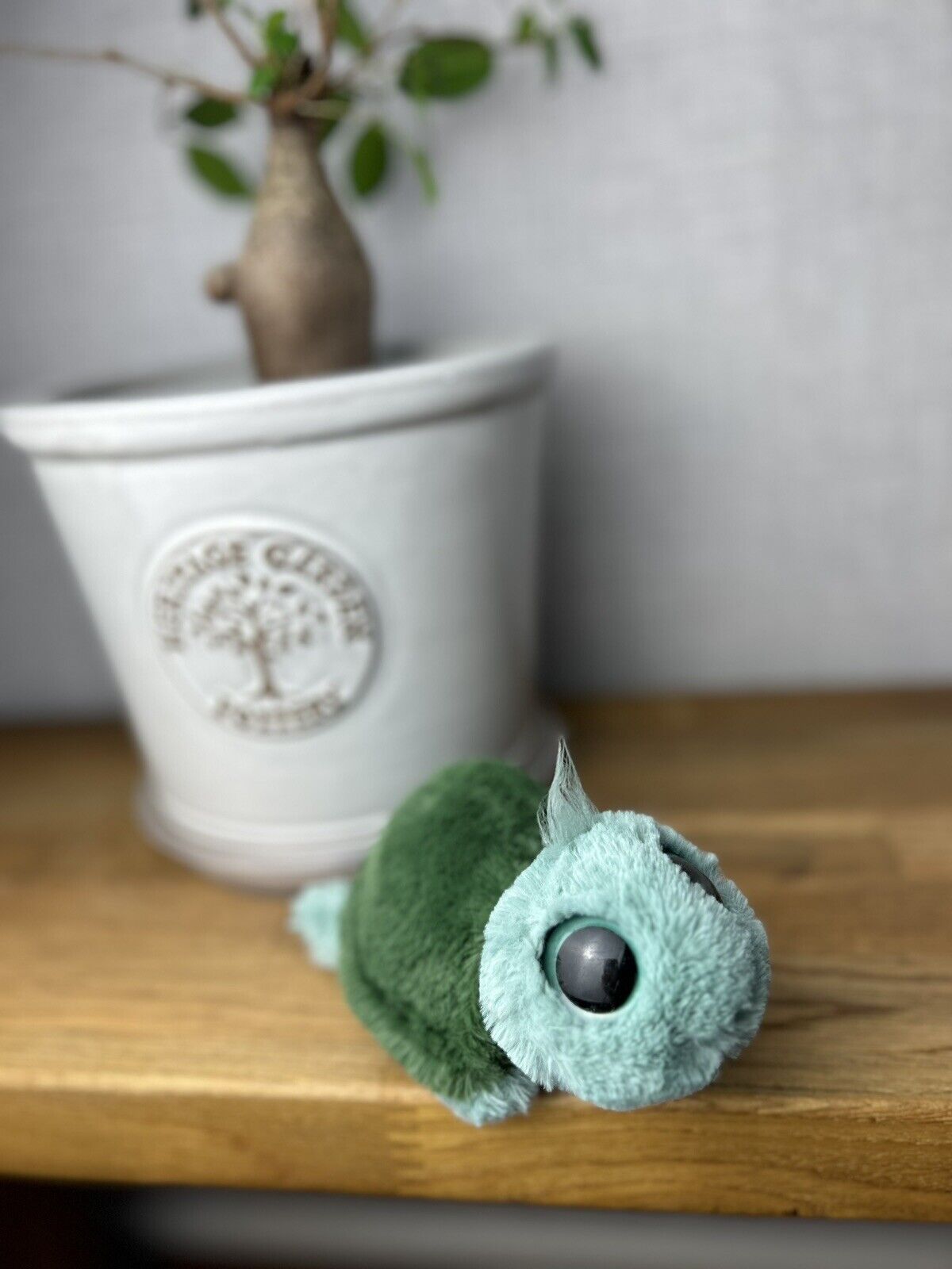 Jellycat Frizzles Tortoises - Jellycat Turtle - Frizzles - Big Eye Turtle