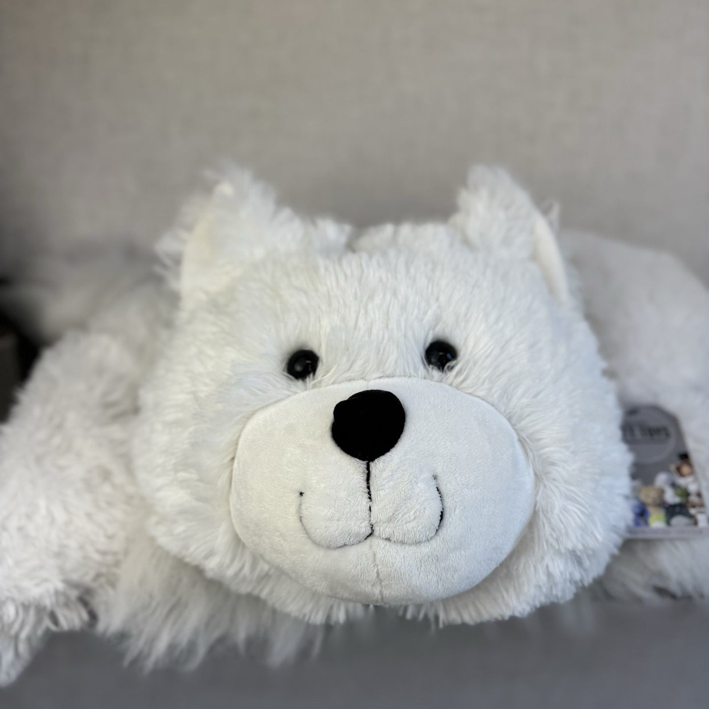 Huge Truffles White Cat - Little White Company/Jellycat Collab Large Cushion Cat
