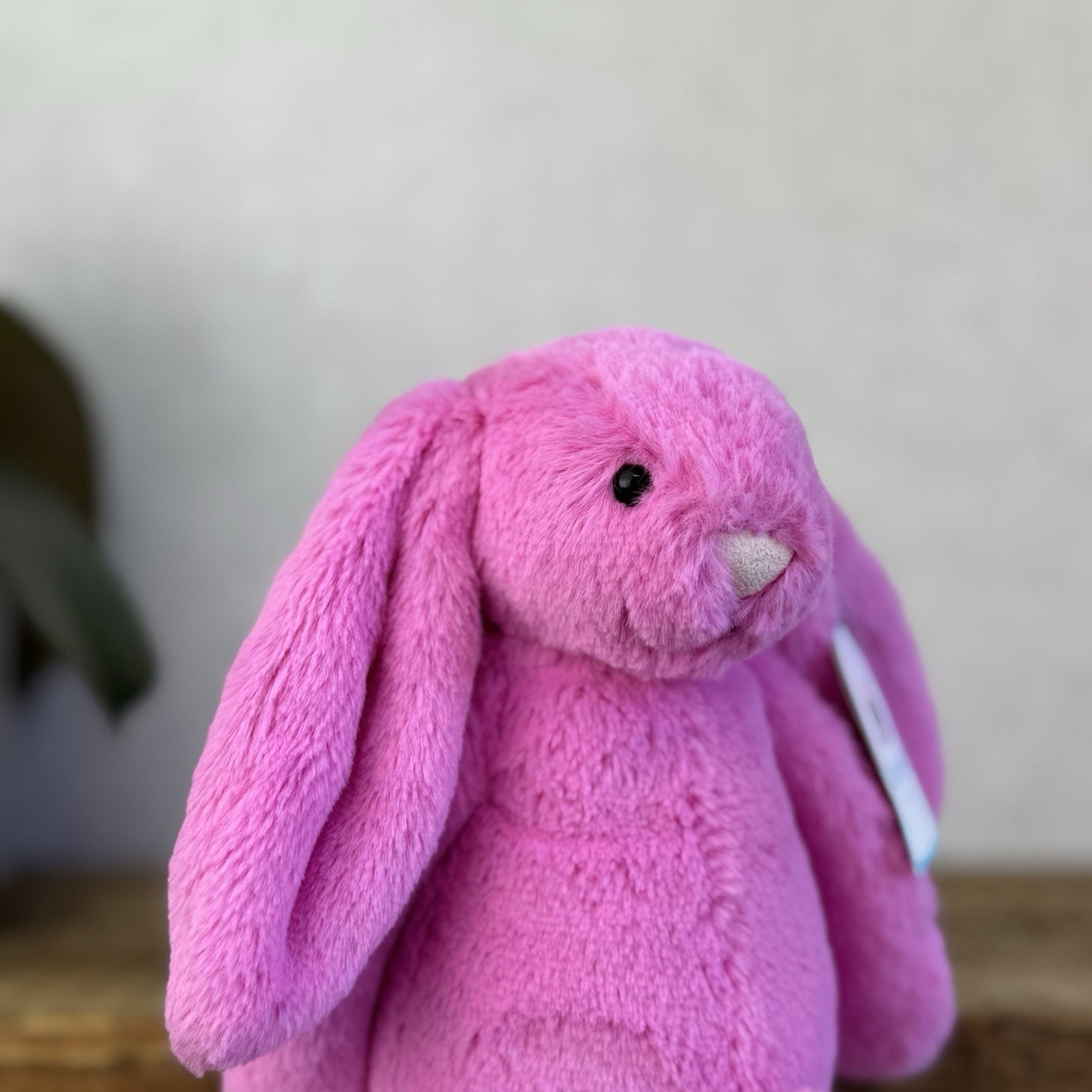 Jellycat Small Bashful Hot Pink Bunny - Bright Pink Rabbit New With Tags Soft 8”