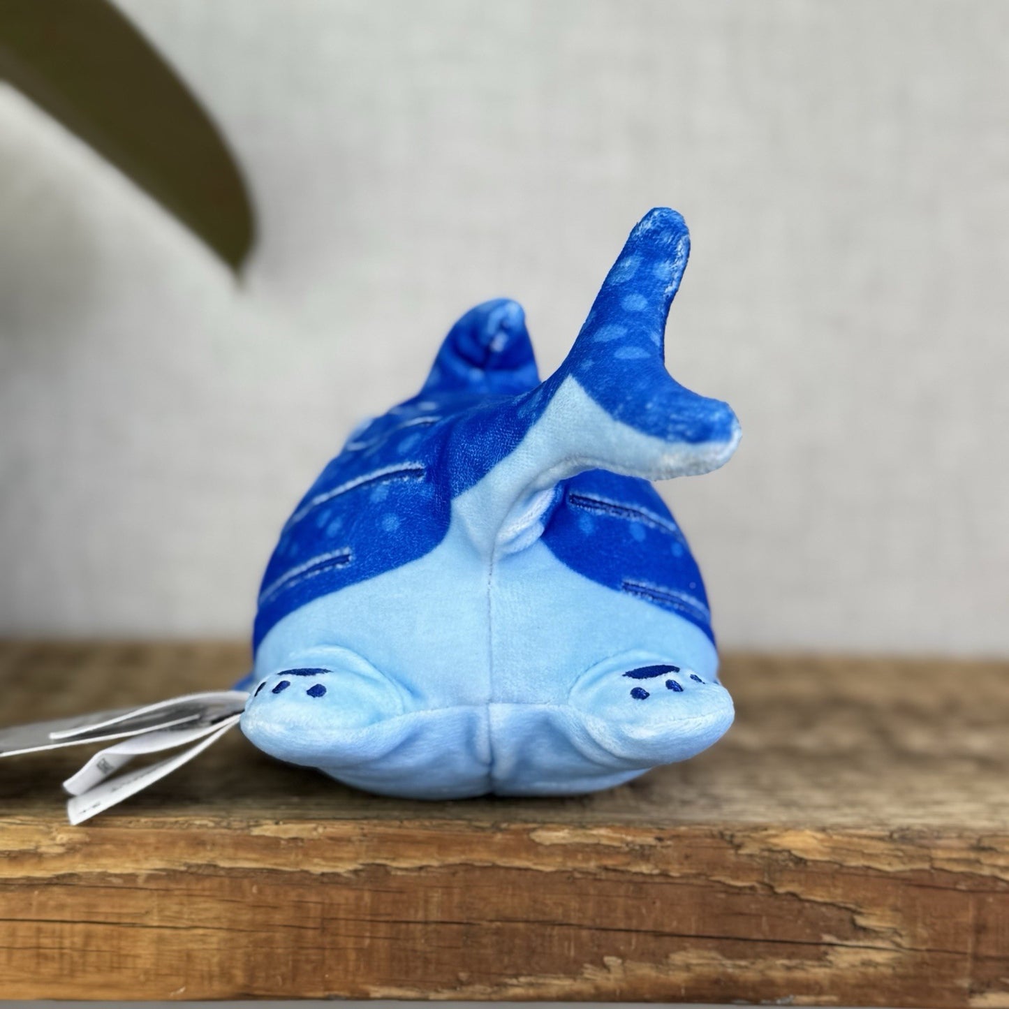Aphmau MeeMeows - Sealife Litter Plush Whale Cat Blue Kawaii Cute 6"