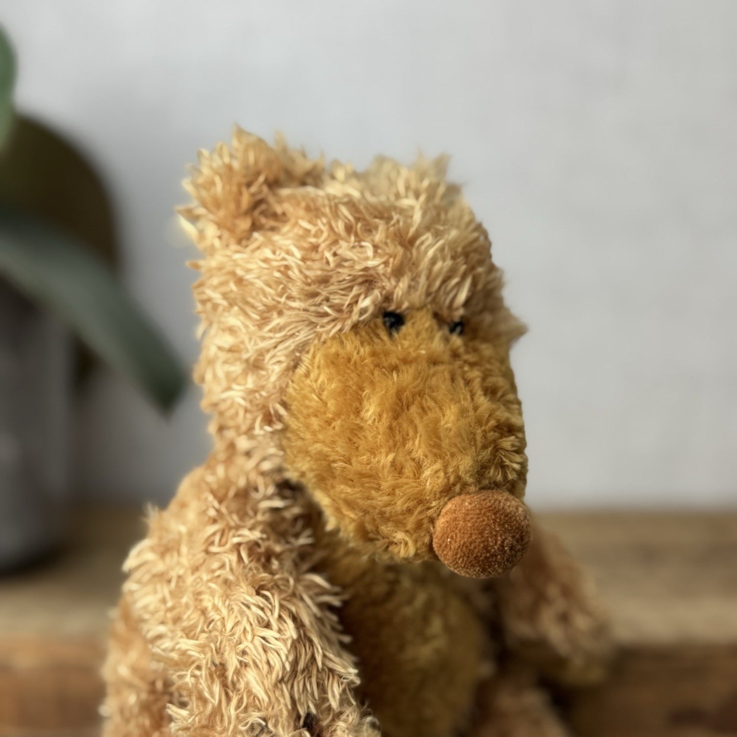 Jellycat Small Paw Paw Bear Golden Bear Beanie Vintage Soft Plush Toy Retired 9"