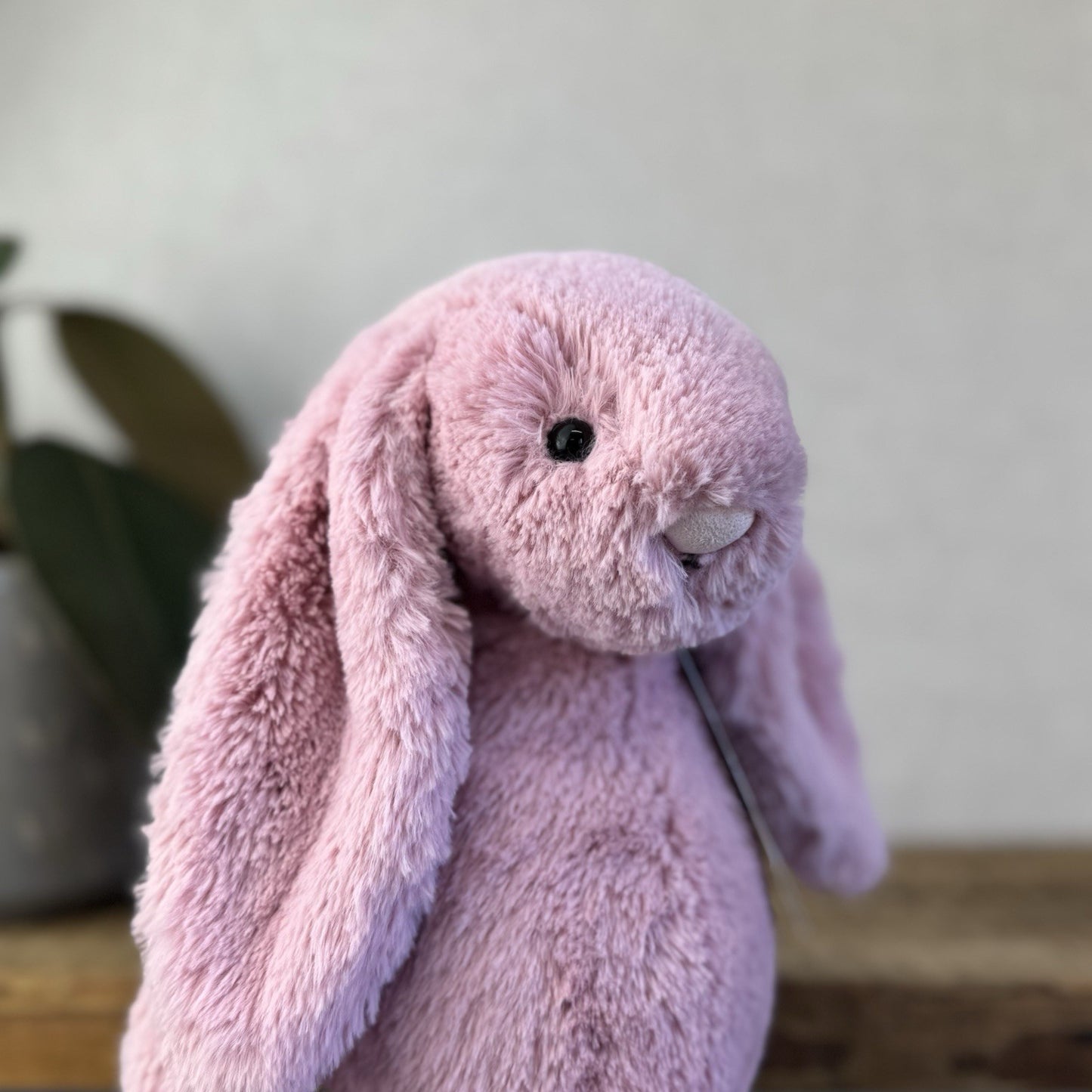 Jellycat Medium Bashful Tulip Bunny - Pink Rabbit Beanie Plush Medium 12" (#3)