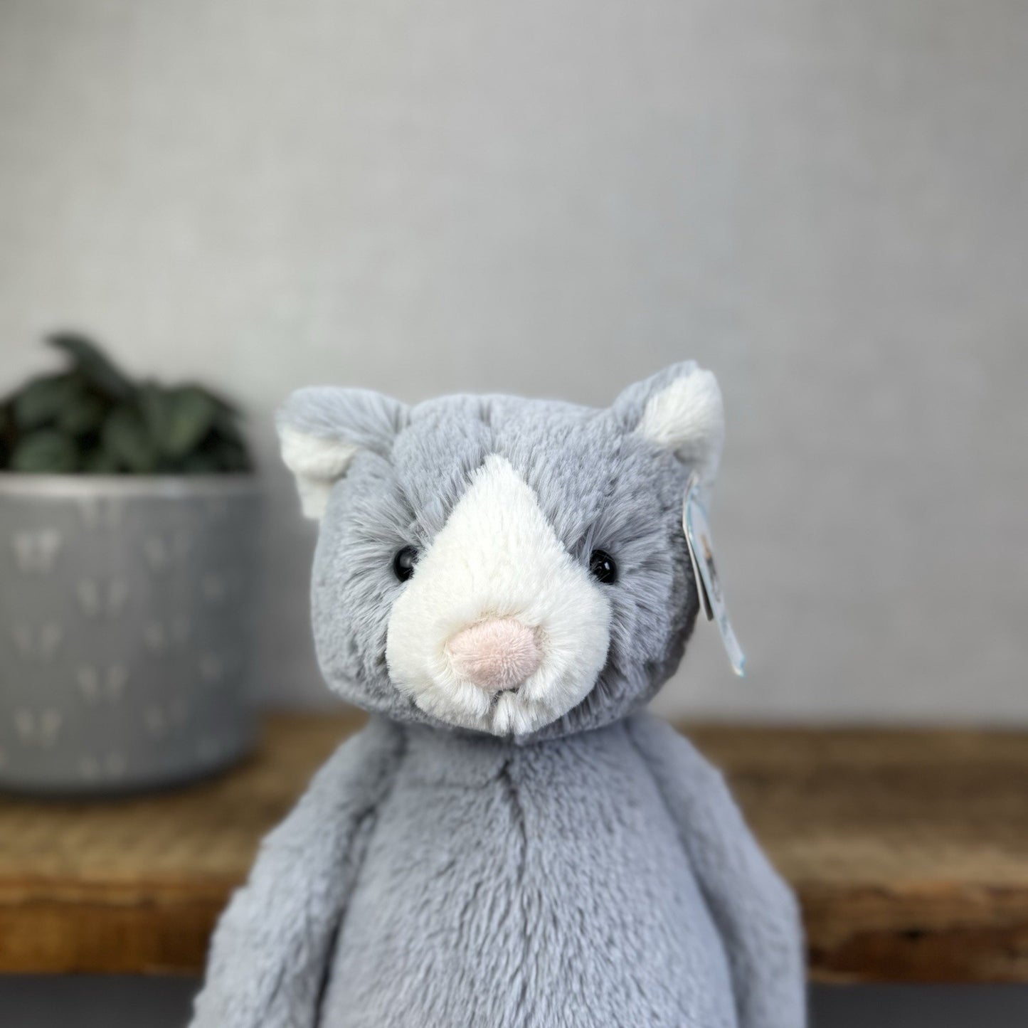Jellycat Medium Bashful Cat - Grey/White Medium Kitten Plush - With Tags