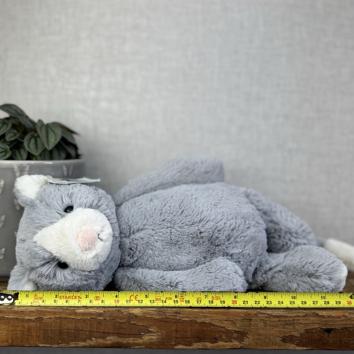 Jellycat Medium Bashful Cat - Grey/White Medium Kitten Plush - With Tags