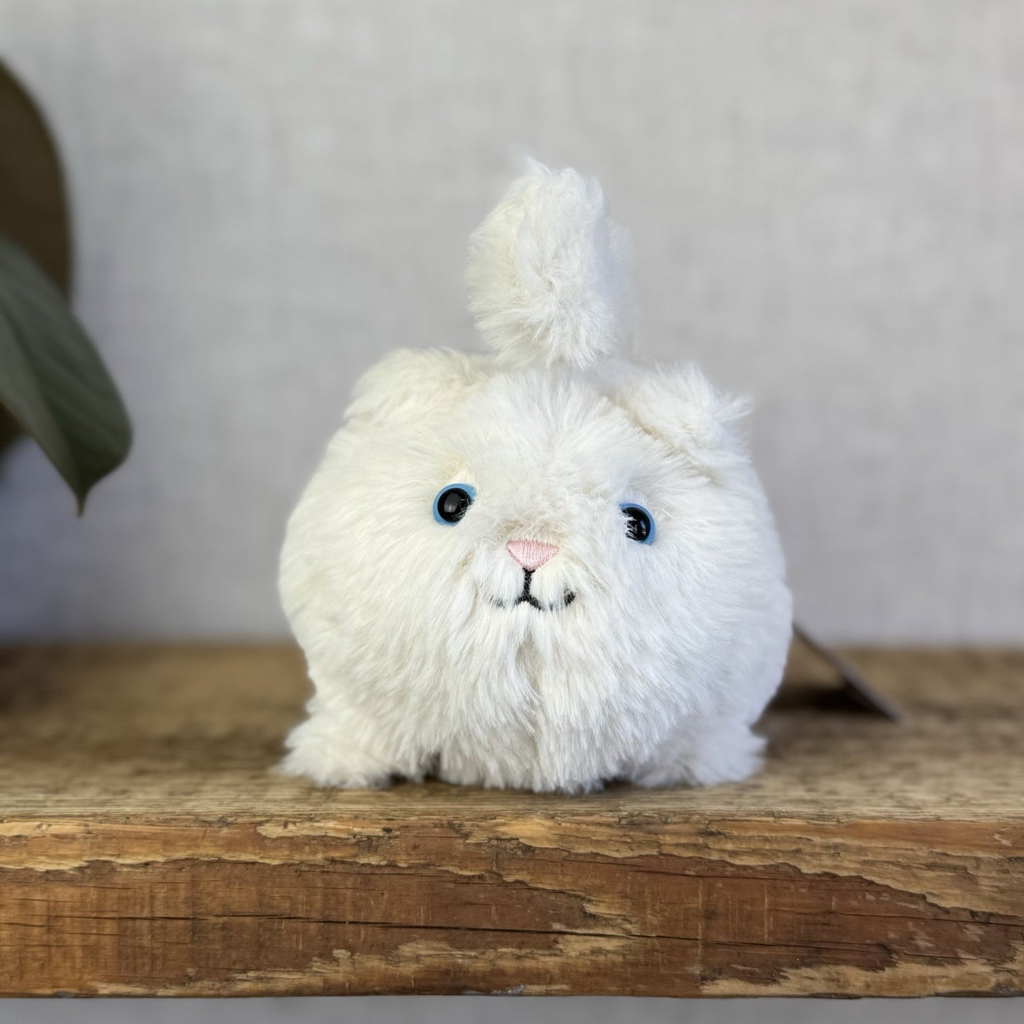 Jellycat Cat Cream Kitten Caboodle Cat Plush Soft Toy - Small Kitten Soft Toy 5”