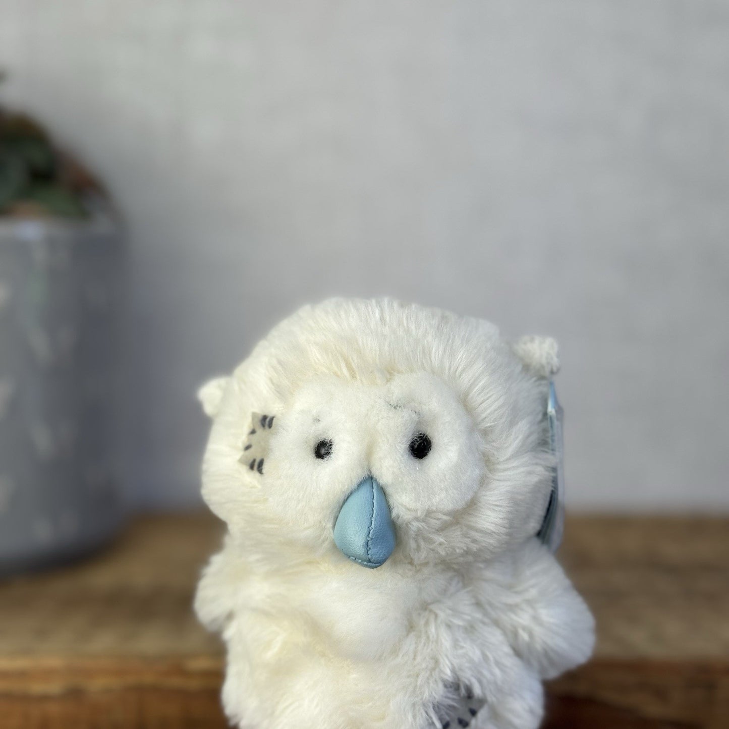 Blue Nose Friends Wise The Owl - Mini Owl Beanie Plush With Tags Retired 5”