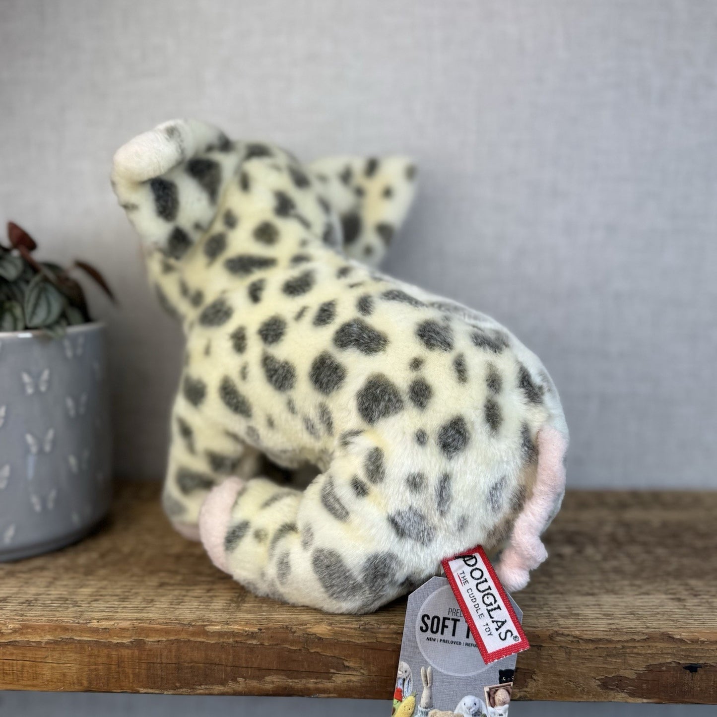 Douglas Cuddle Toys - Pauline Spotted Pig Cream/Grey Pig Medium 10"