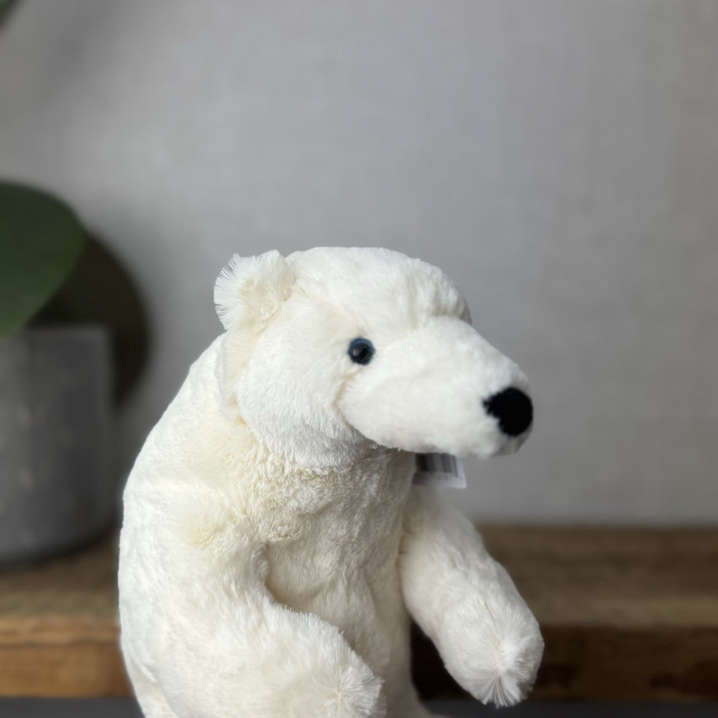Jellycat Small Elwin Polar Bear - White Sitting Bear Plush Blue Eyes with tags