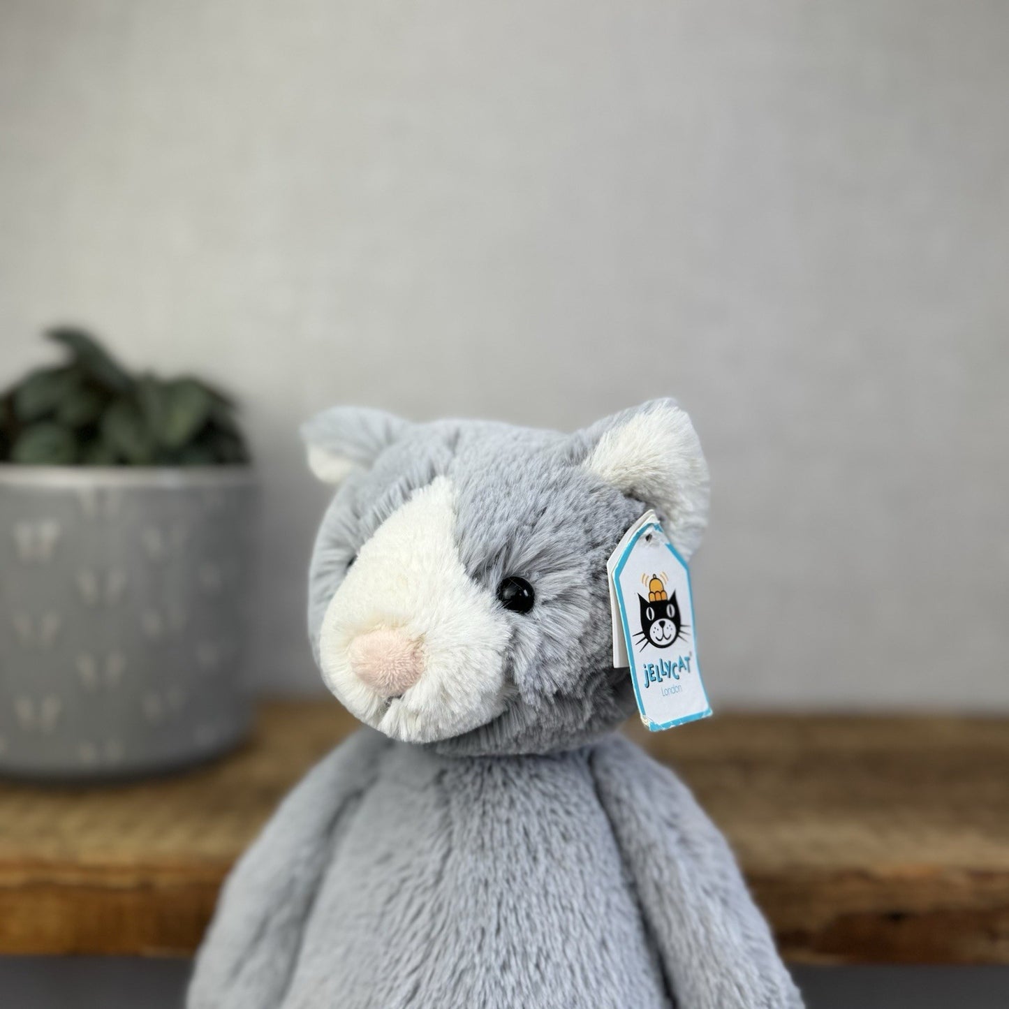 Jellycat Medium Bashful Cat - Grey/White Medium Kitten Plush - With Tags