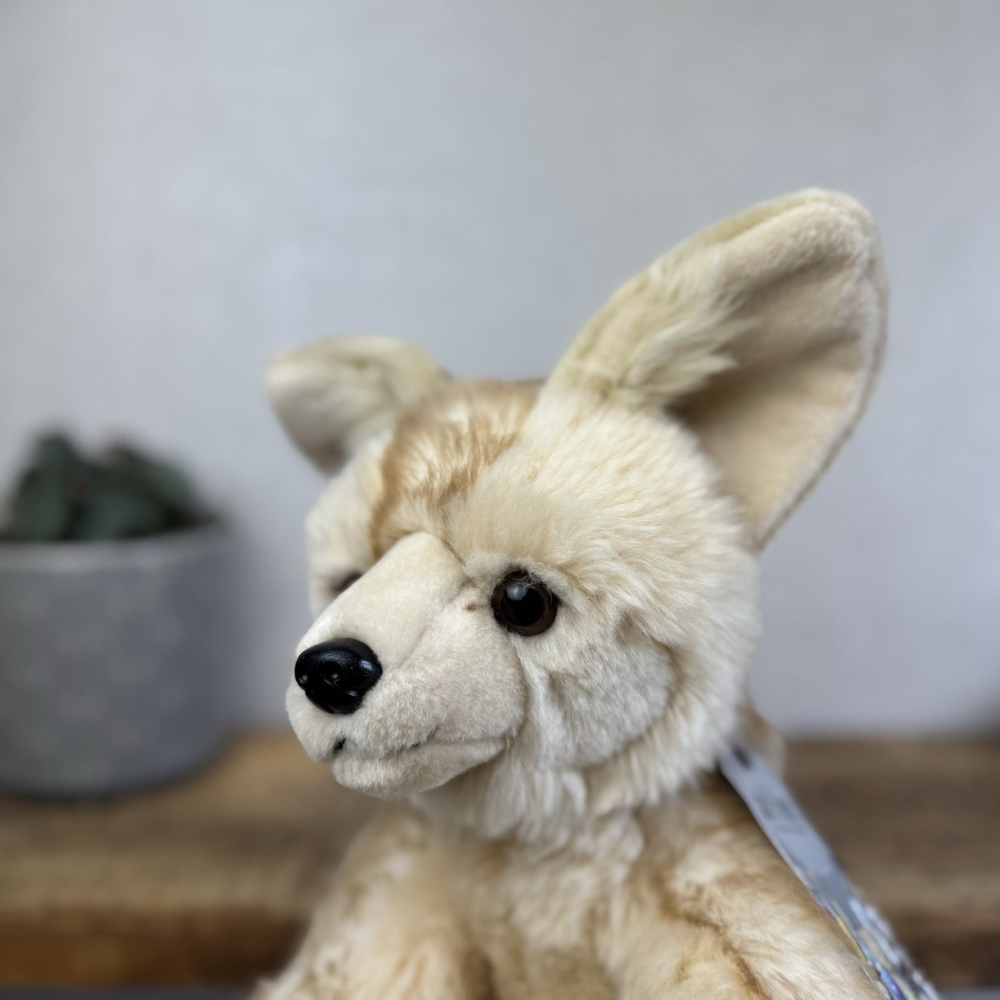 Build A Bear WWF Fennec Fox - New Without Tags Arctic Fox Soft Toy Bear 16"