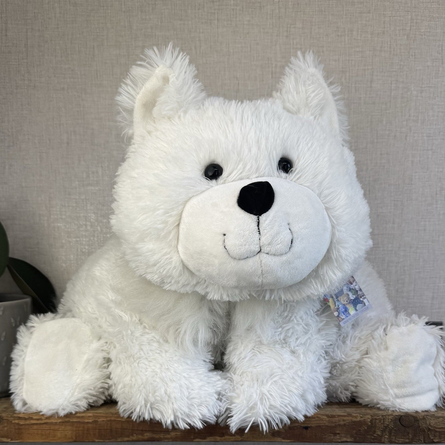 Huge Truffles White Cat - Little White Company/Jellycat Collab Large Cushion Cat