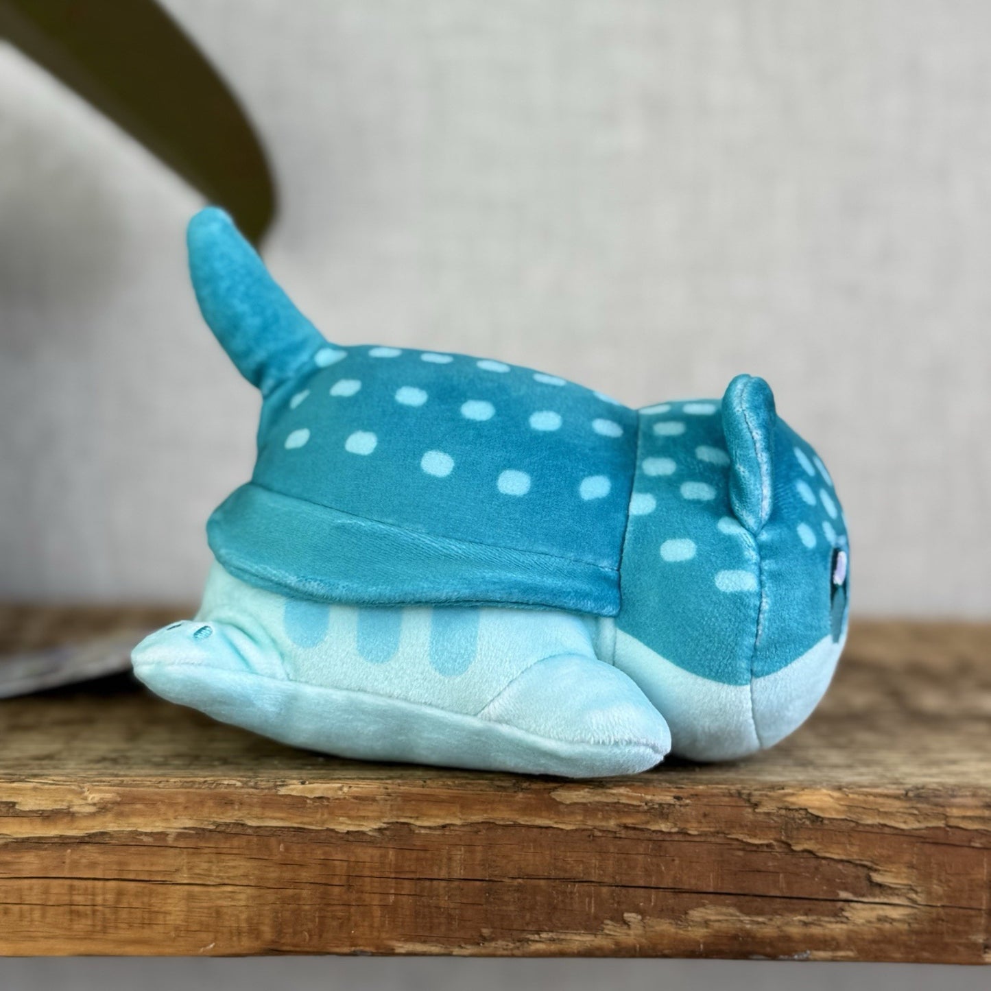 Aphmau MeeMeows - Under The Sea Stingray Blue Plush Cat Toy Cute 6"