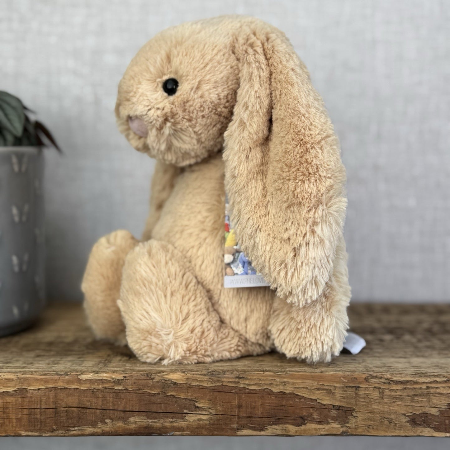 Jellycat Medium Bashful Honey Bunny - Retired Honey Bunny Plush Rabbit 12"