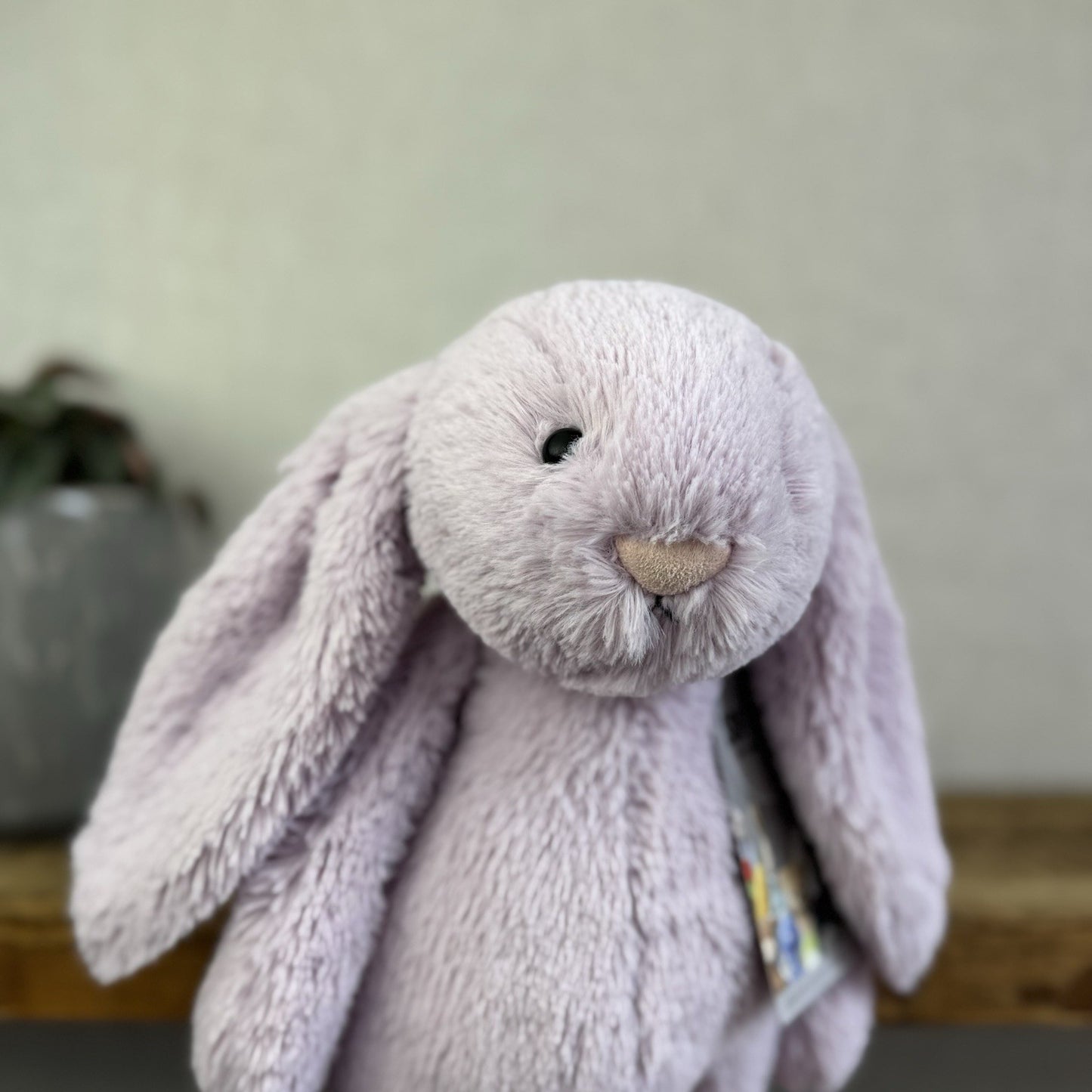 Jellycat Medium Bashful Hyacinth Bunny - Lilac Purple Bunny Rabbit 12”