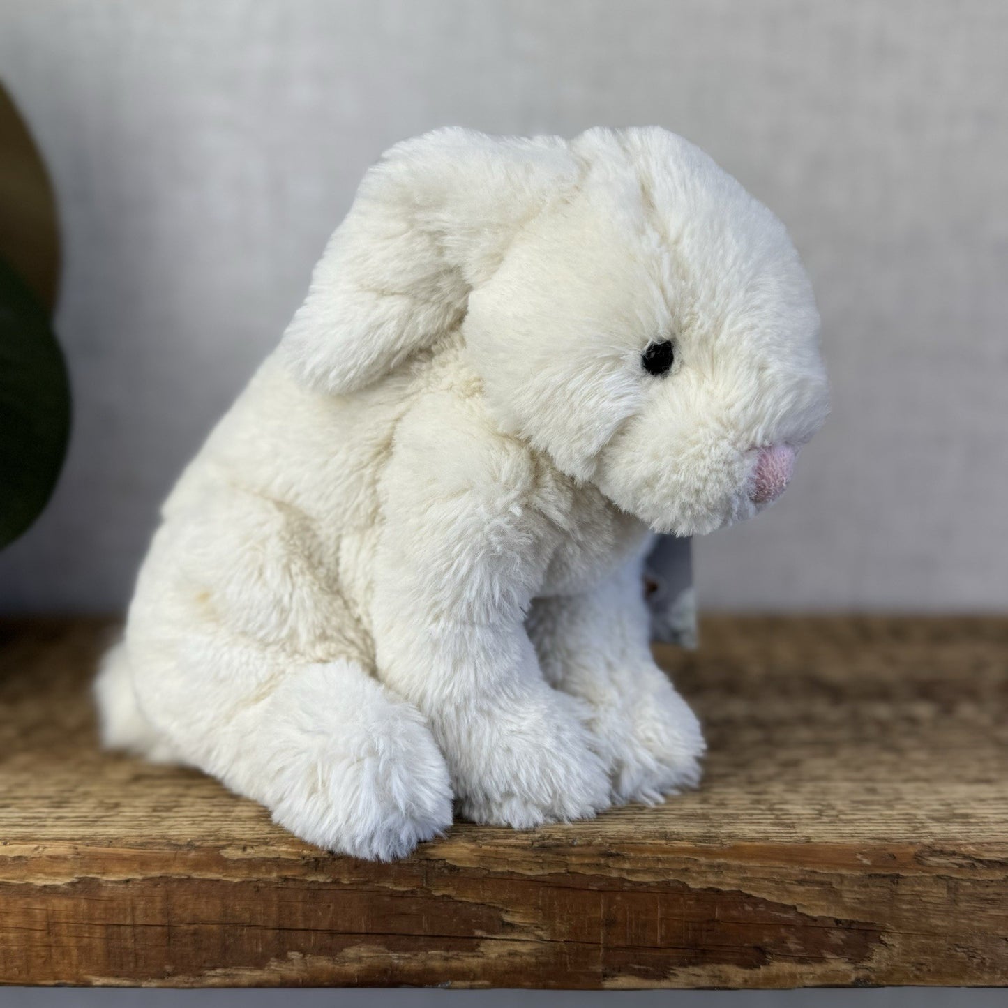 Jellycat Small Riley Bunny - Cream Lop Ear Bunny Rabbit Soft Toy Retired 7”