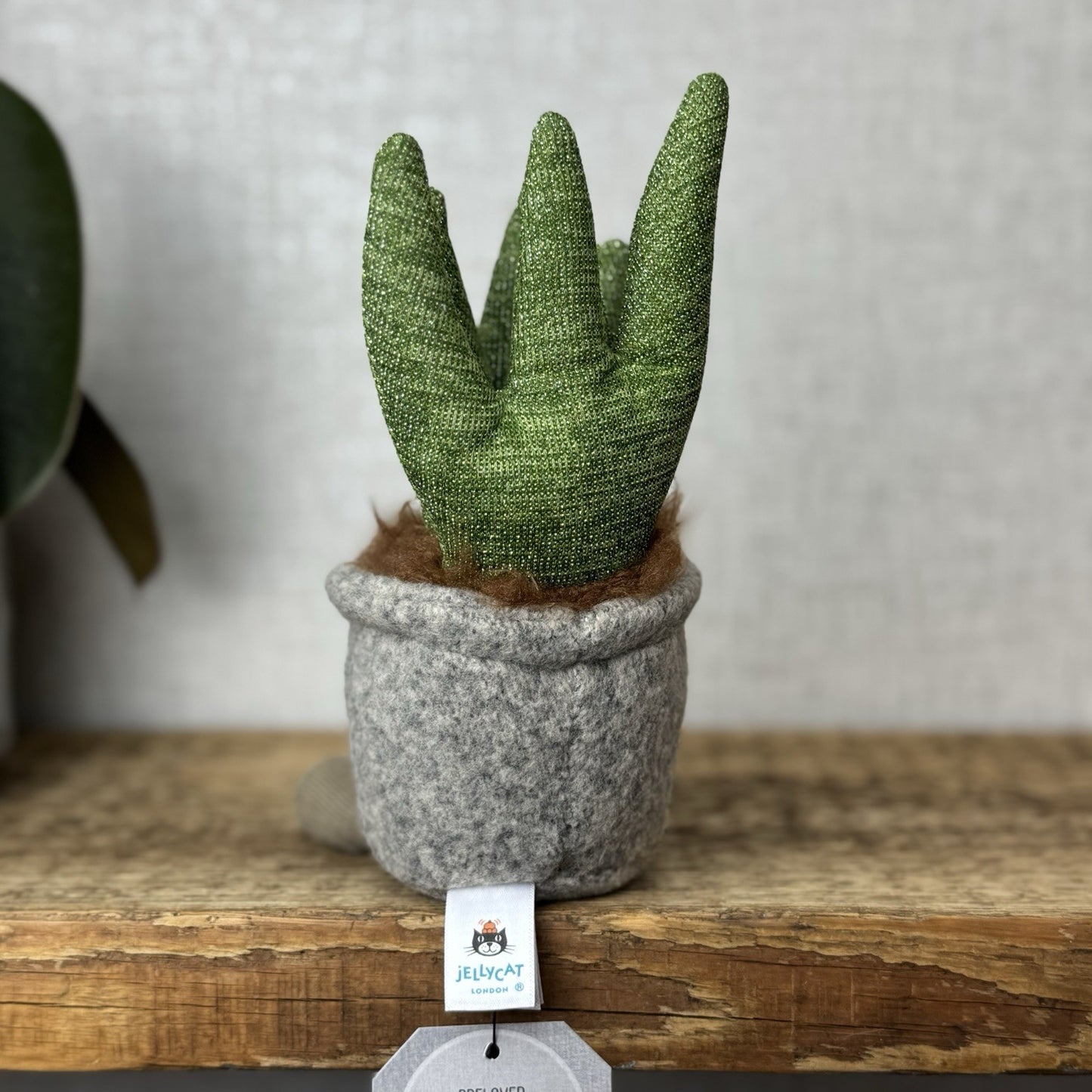 Jellycat Silly Succulent Aloe - Aloe Plant Soft Toy Amuseable Beanie Small 6”