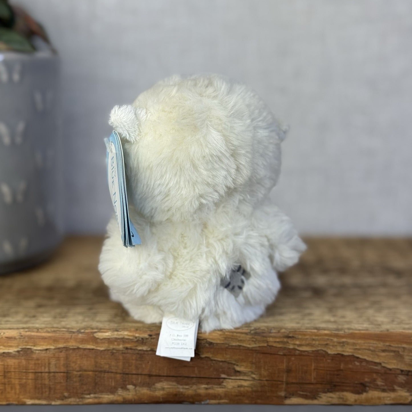 Blue Nose Friends Wise The Owl - Mini Owl Beanie Plush With Tags Retired 5”