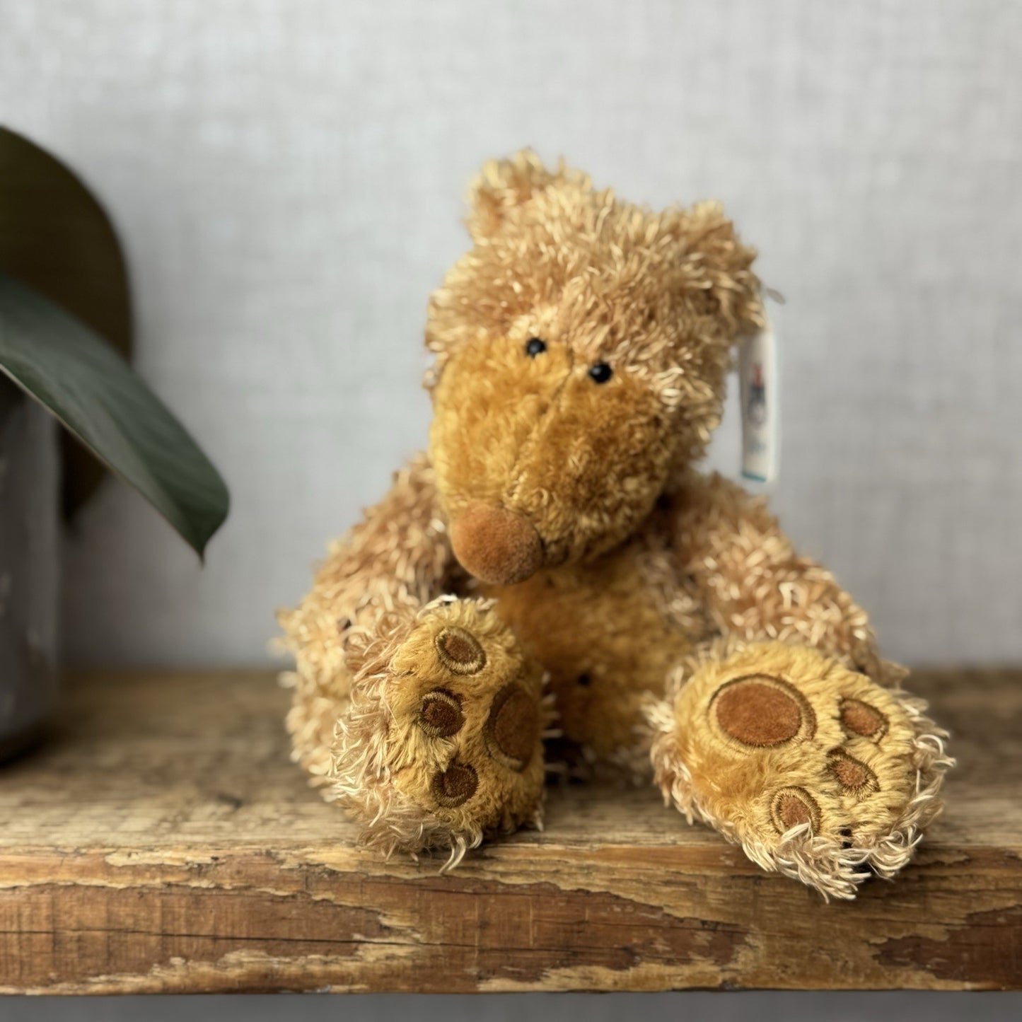 Jellycat Small Paw Paw Bear Golden Bear Beanie Vintage Soft Plush Toy Retired 9"
