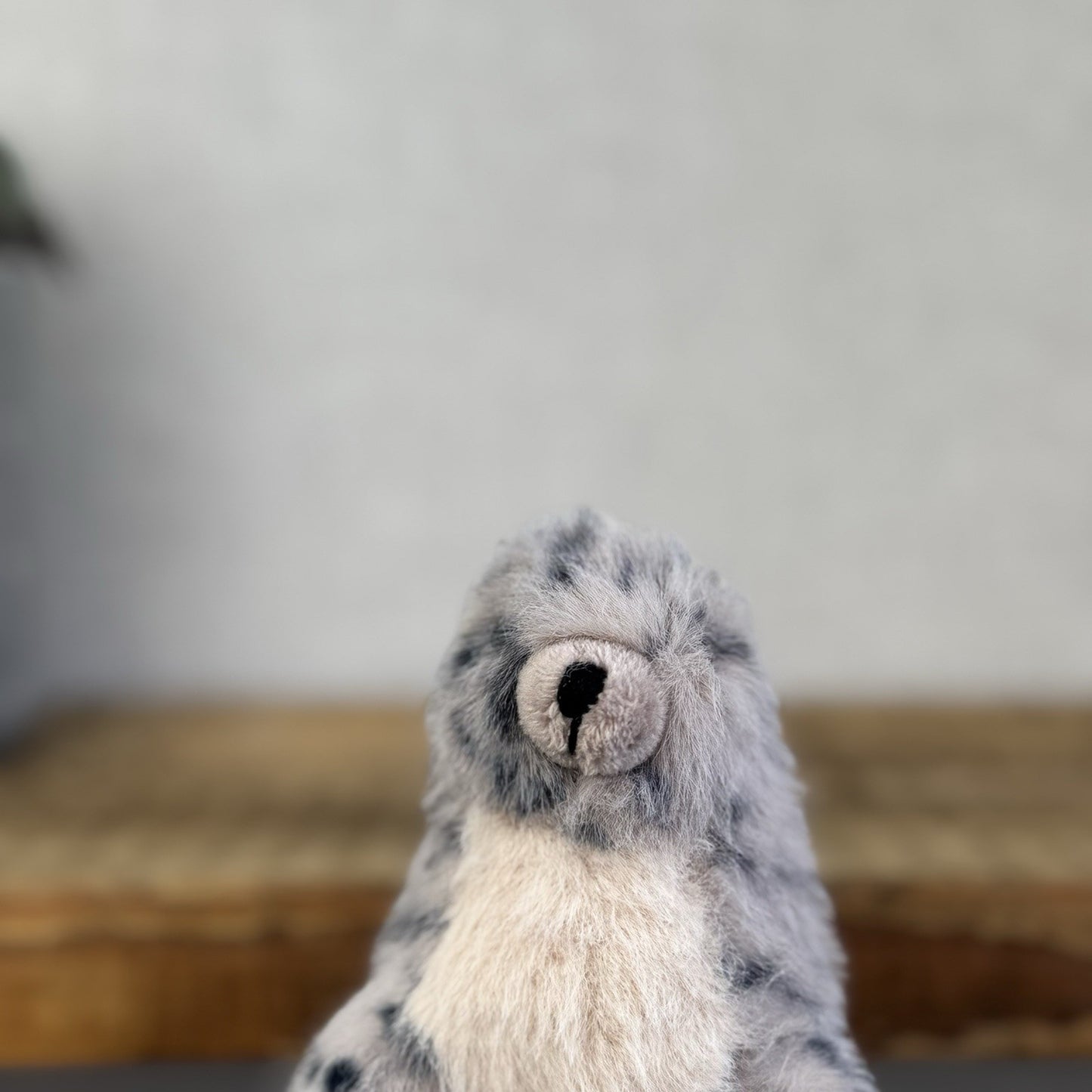 Jellycat Nauticool Spotty Seal - Mini Fluffy Grey Spotty Seal Beanie Plush Tags