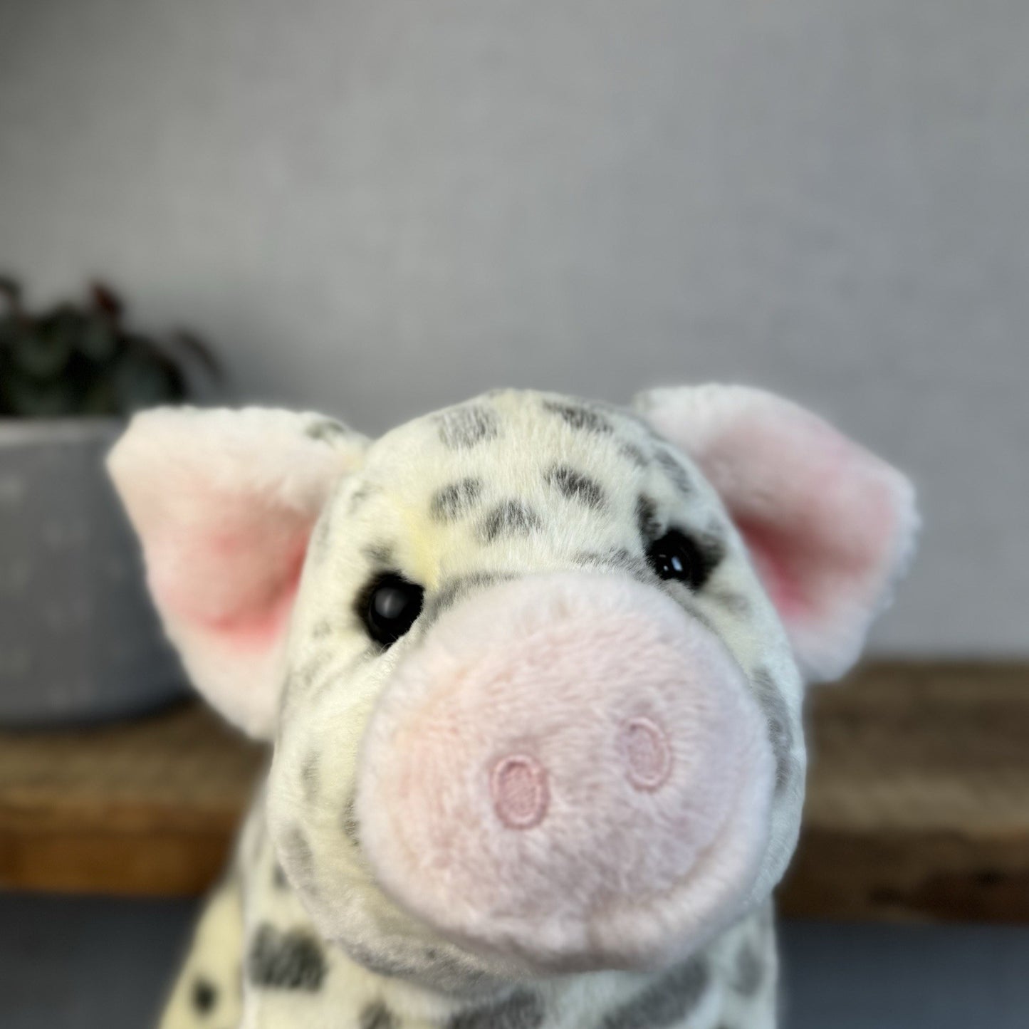 Douglas Cuddle Toys - Pauline Spotted Pig Cream/Grey Pig Medium 10"