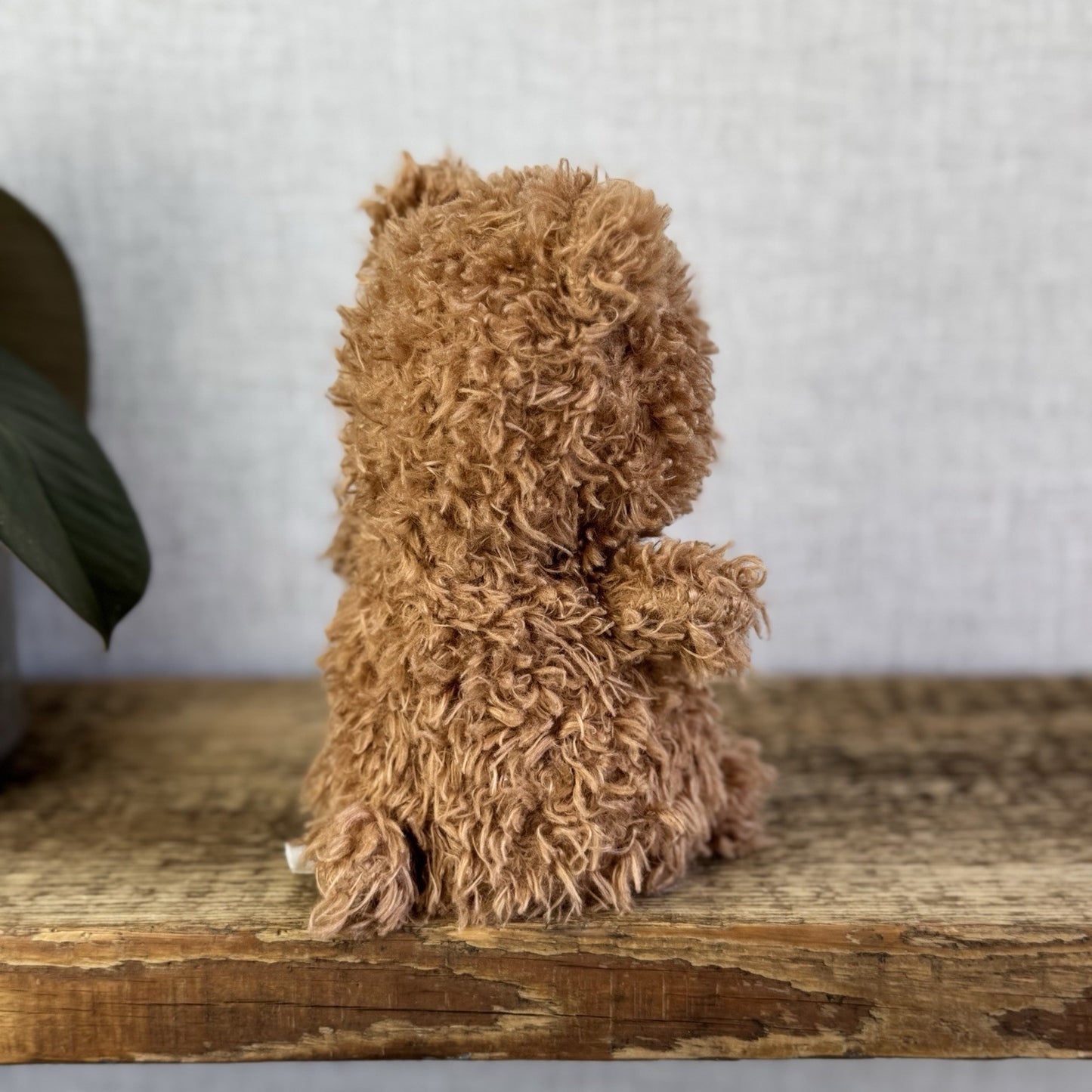 Jellycat Brown Little Bear - Small Curly Haired Brown Teddy Bear Soft Toy 7”