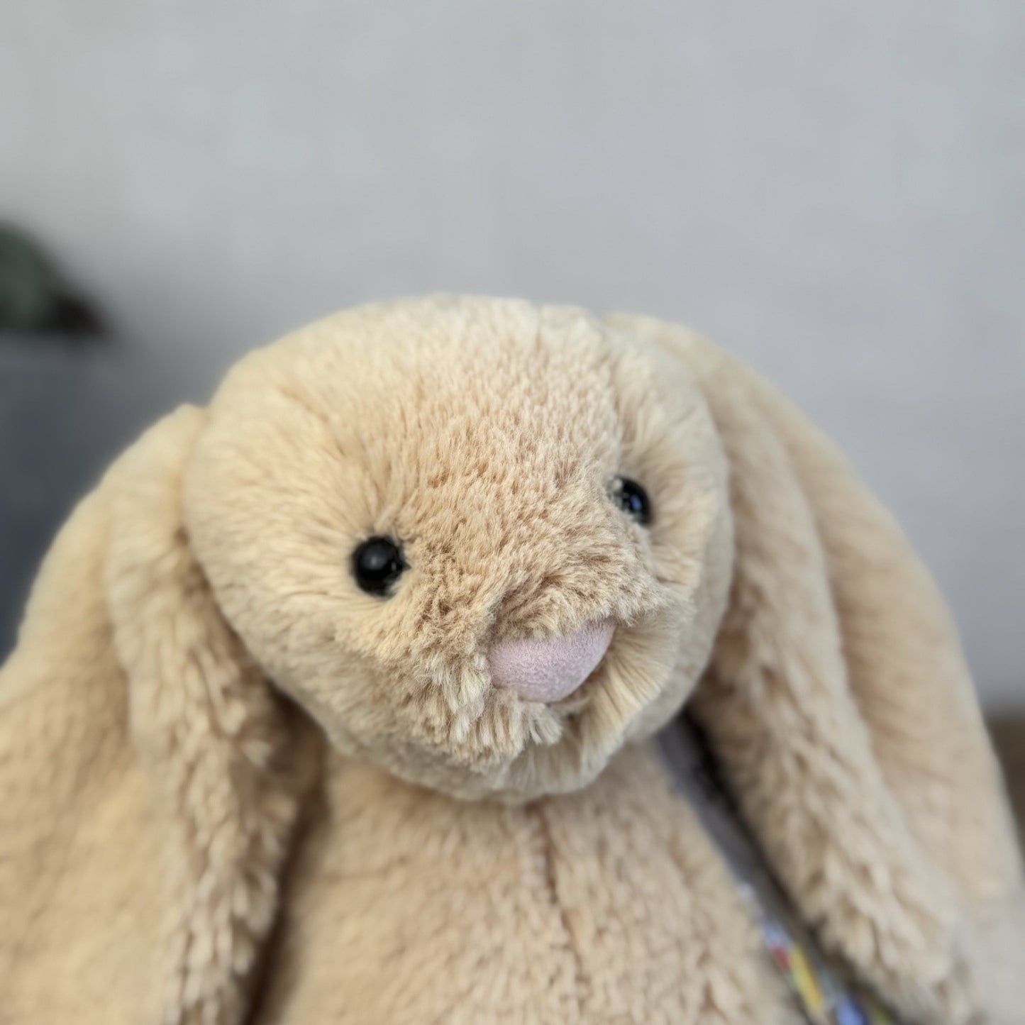 Jellycat Medium Bashful Honey Bunny - Retired Honey Bunny Plush Rabbit 12"