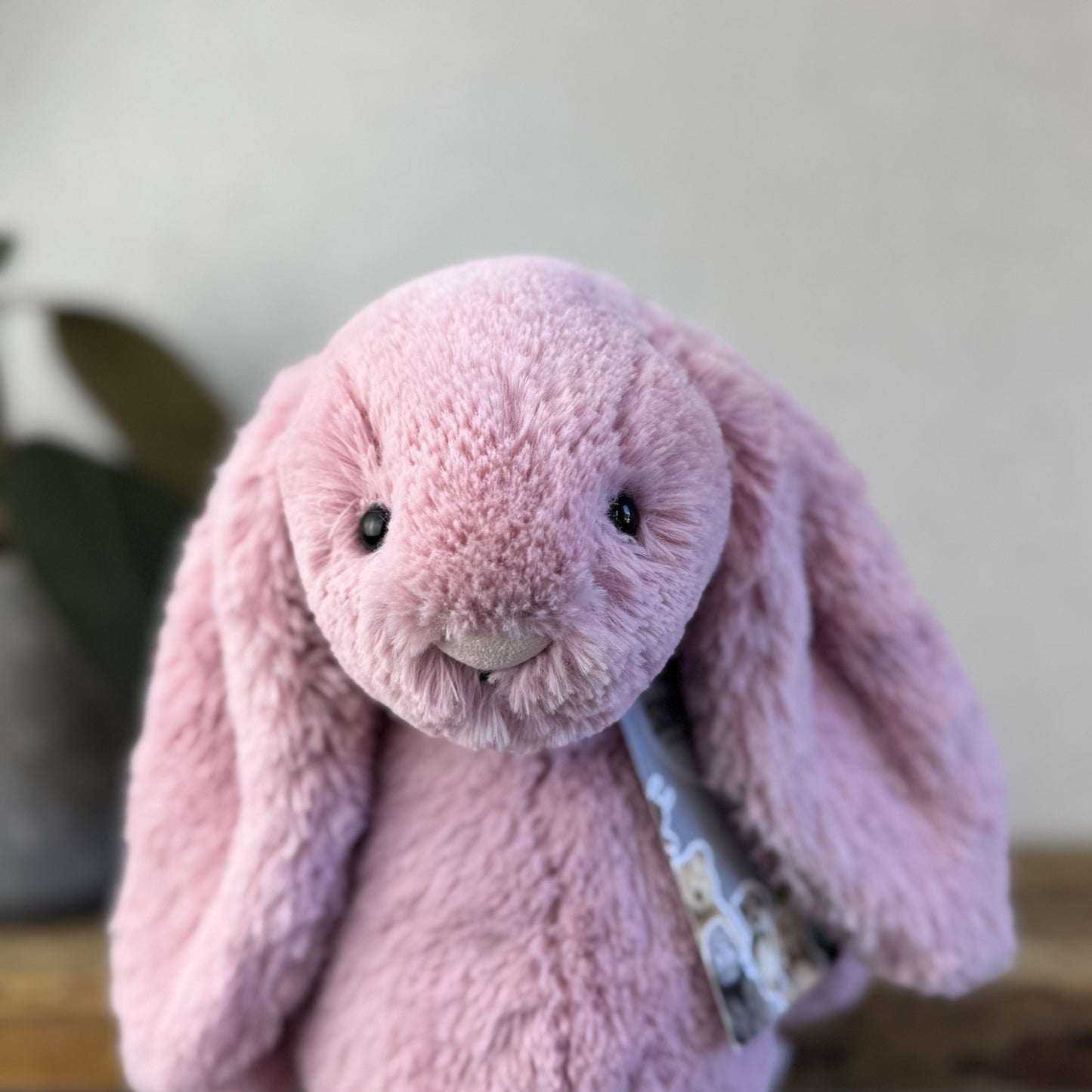 Jellycat Medium Bashful Tulip Bunny - Pink Rabbit Beanie Plush Medium 12" (#3)