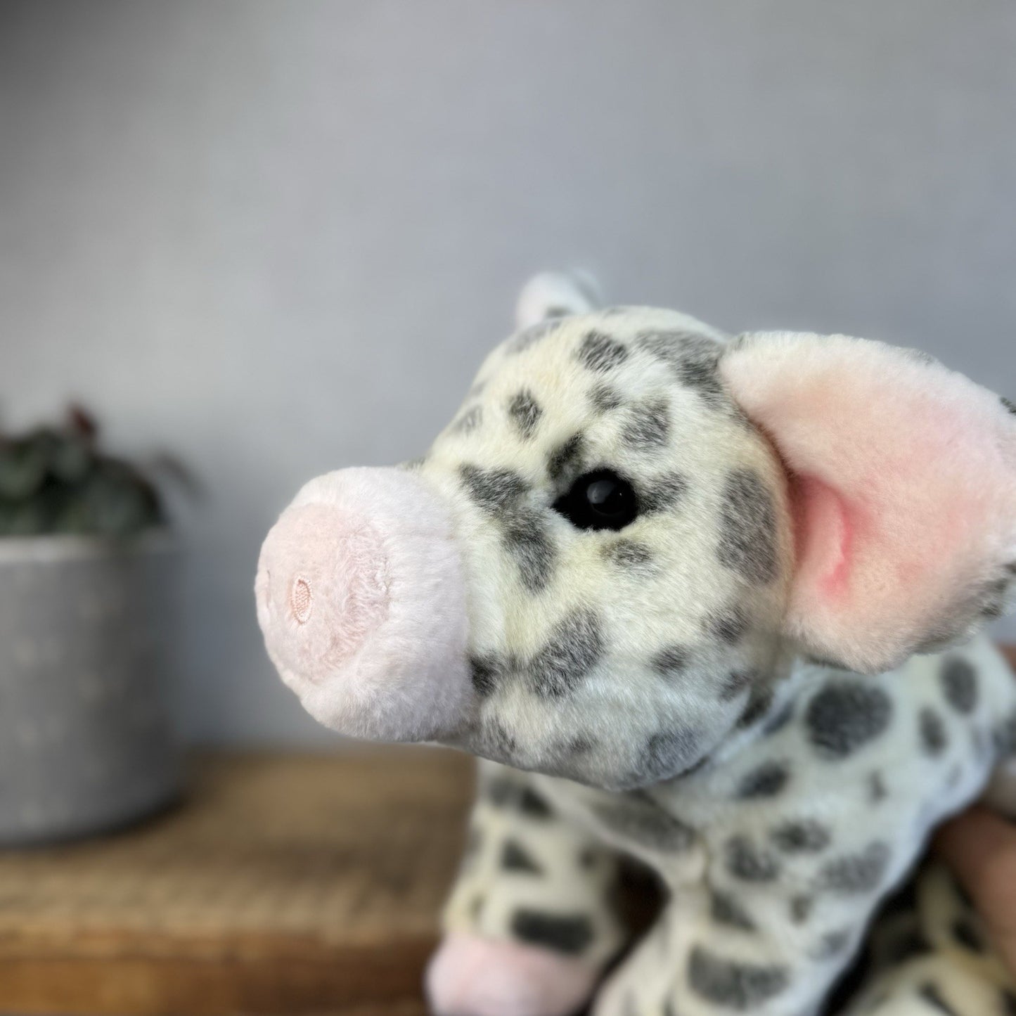 Douglas Cuddle Toys - Pauline Spotted Pig Cream/Grey Pig Medium 10"