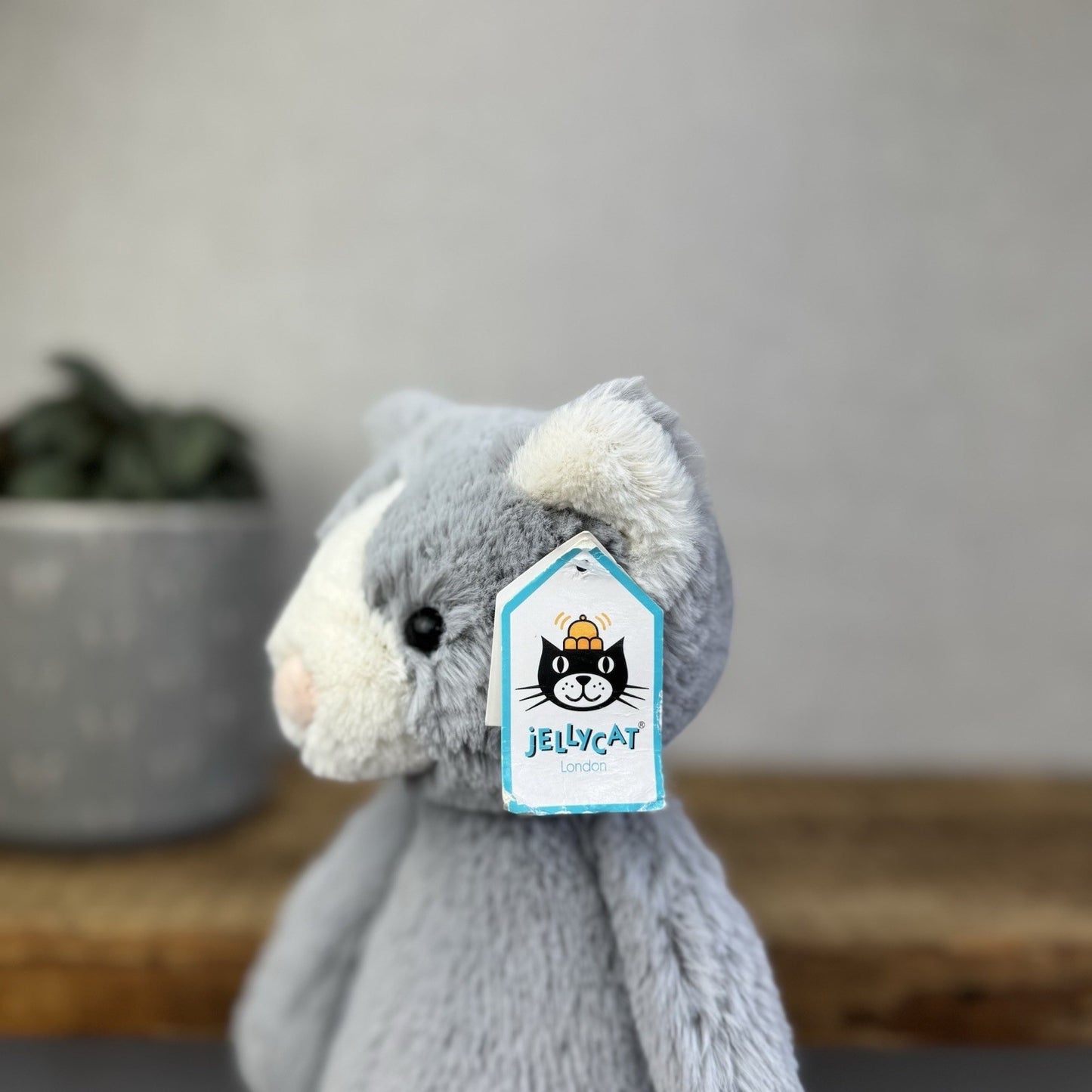 Jellycat Medium Bashful Cat - Grey/White Medium Kitten Plush - With Tags