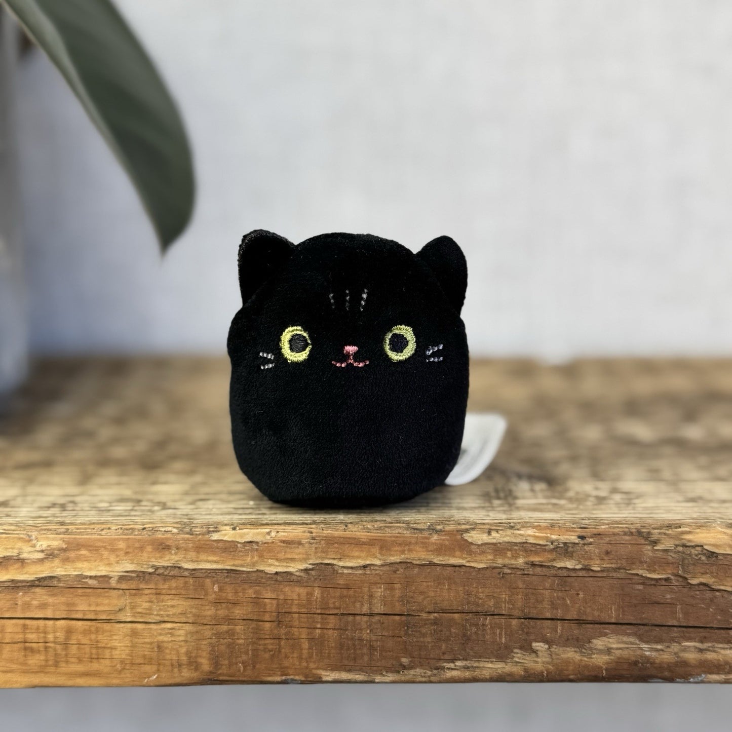 Squishmallow Squishville Black Cat - Halloween Exclusive Black Cat Tiny 2"