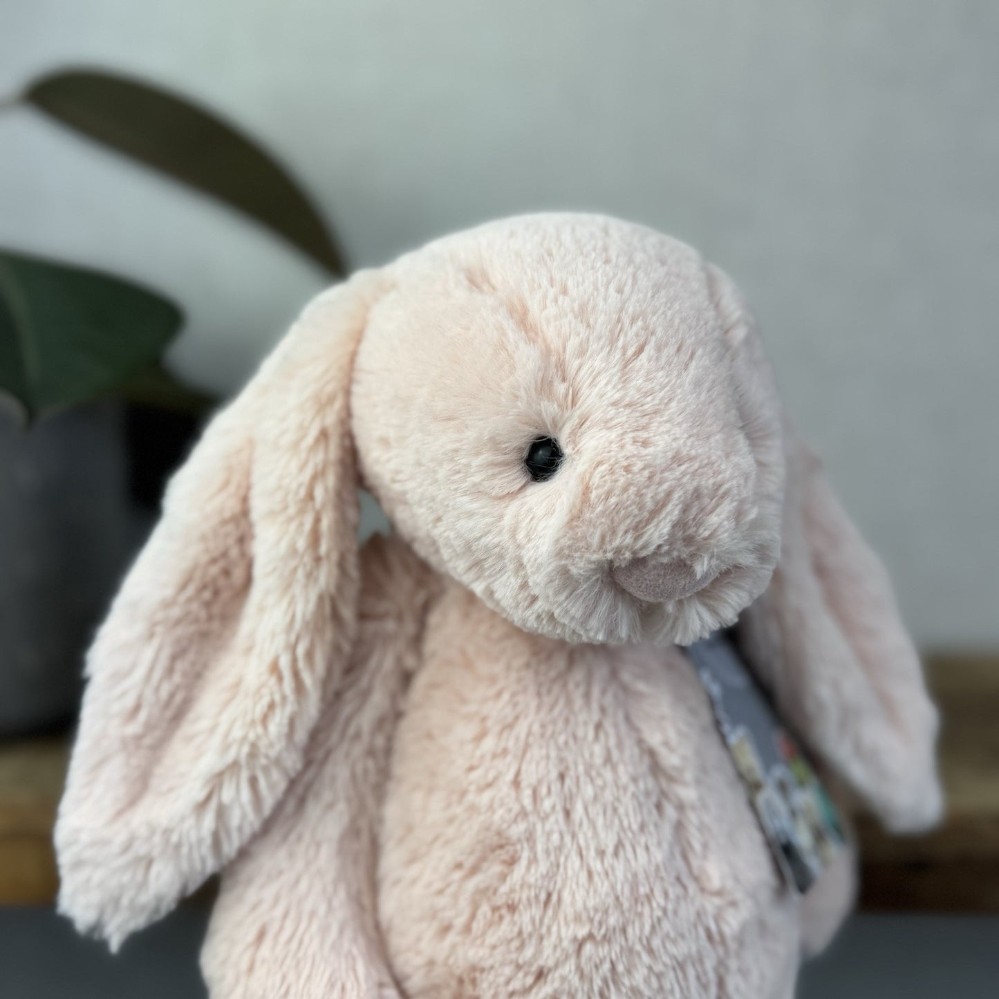Jellycat Medium Bashful Blush Bunny - Pale Light Pink Rabbit 12” (#2)