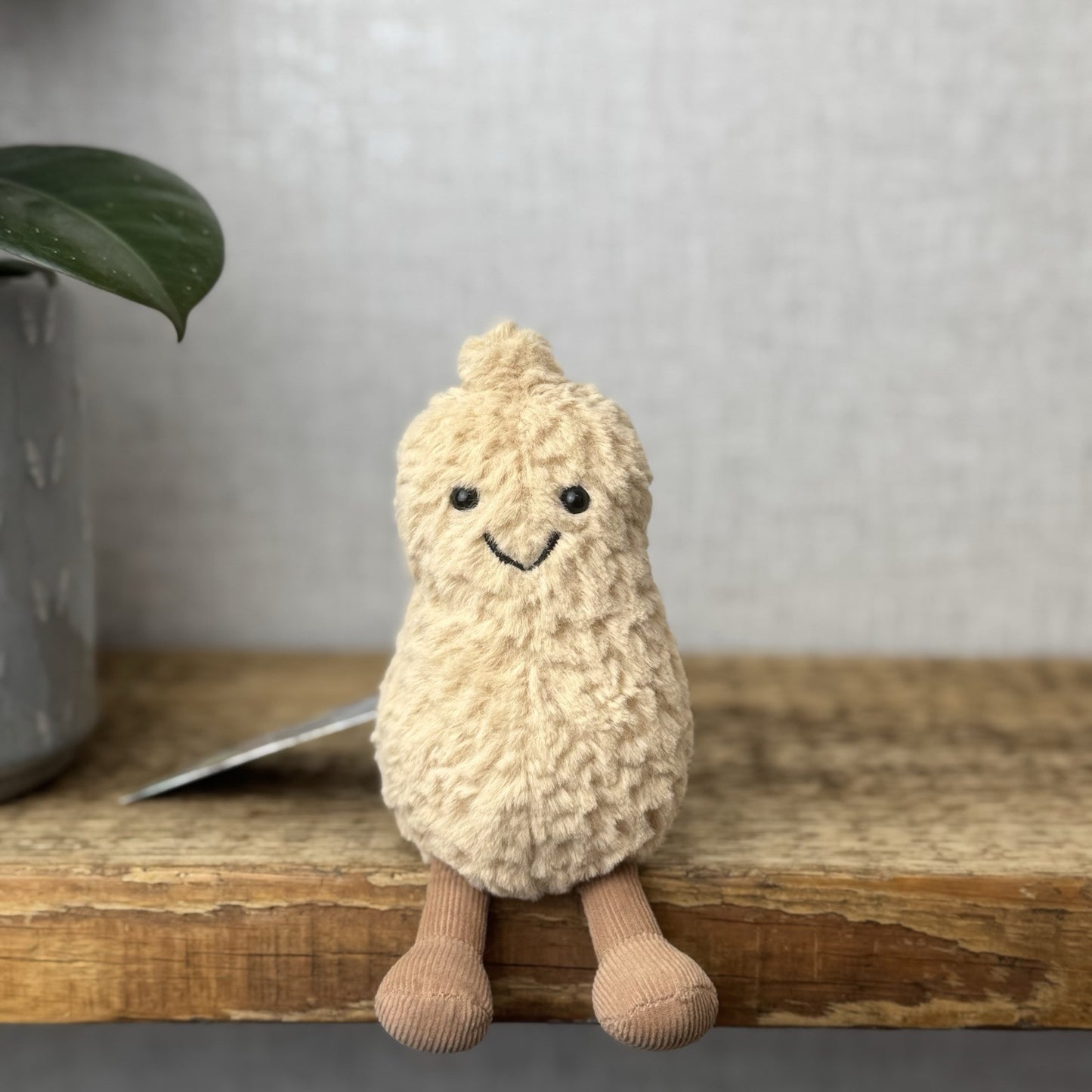 Jellycat Amuseable Peanut - Small Soft Toy Peanut Plush Beanie Tiny Nut 6”